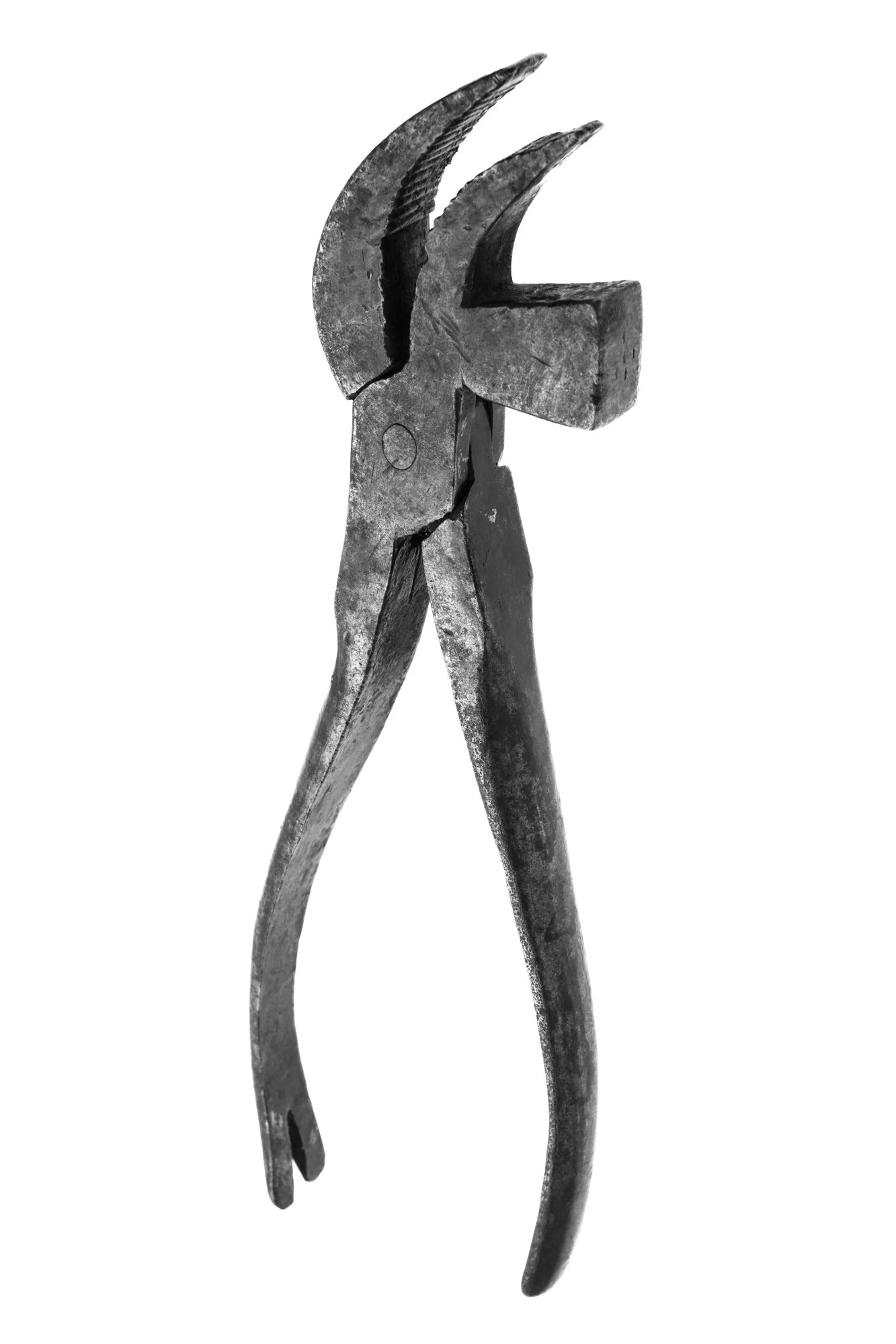 Cobbler's Pliers, pigment print, 16x20 frame, $300