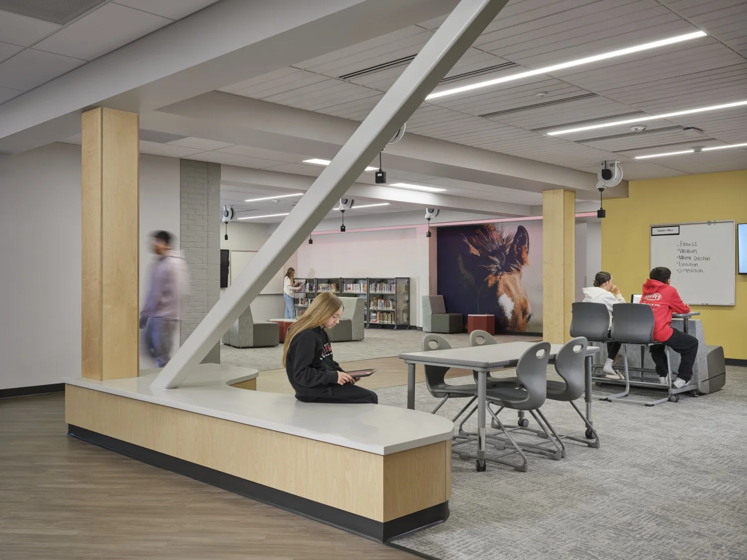 Brad-nicol-photography-368 1.jpg