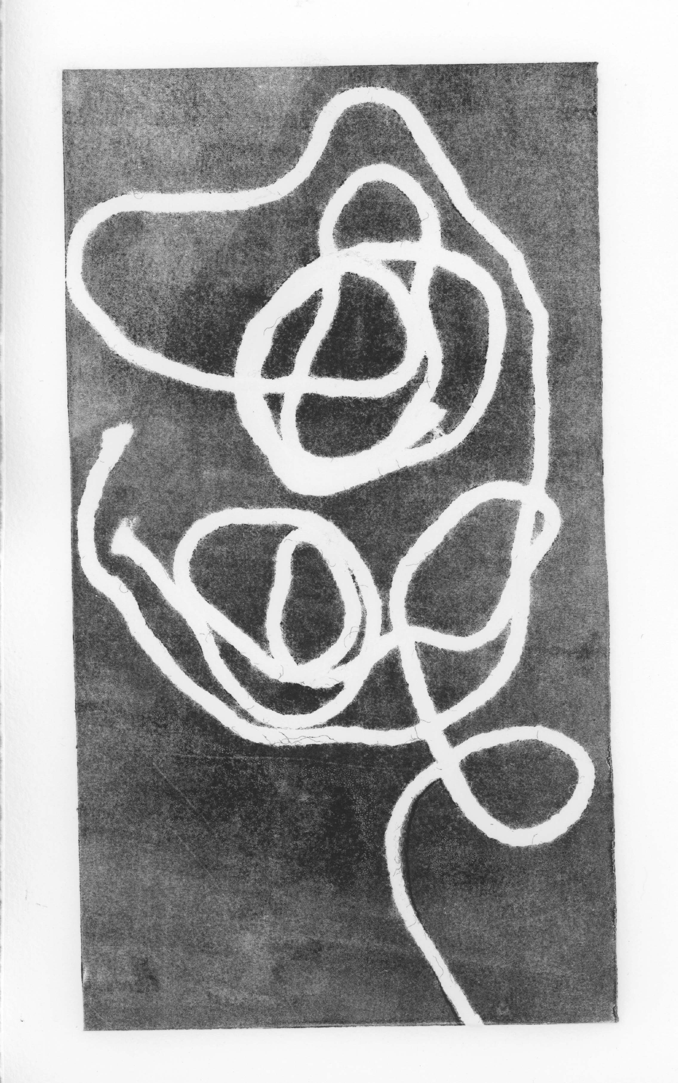 Scan 4.jpg