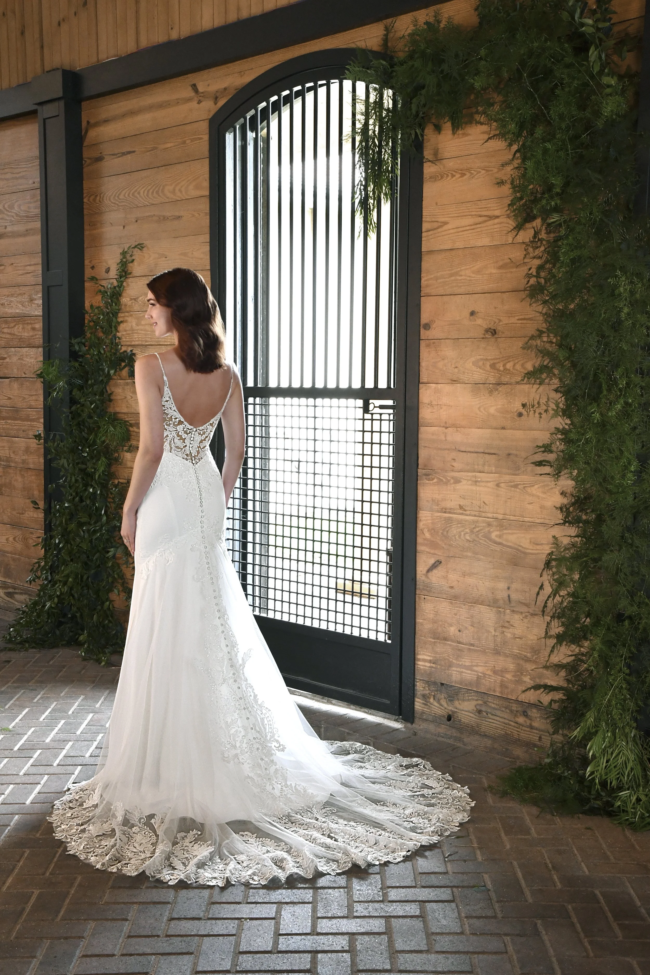 D3339-B-Catalog-S21-ESS.jpg