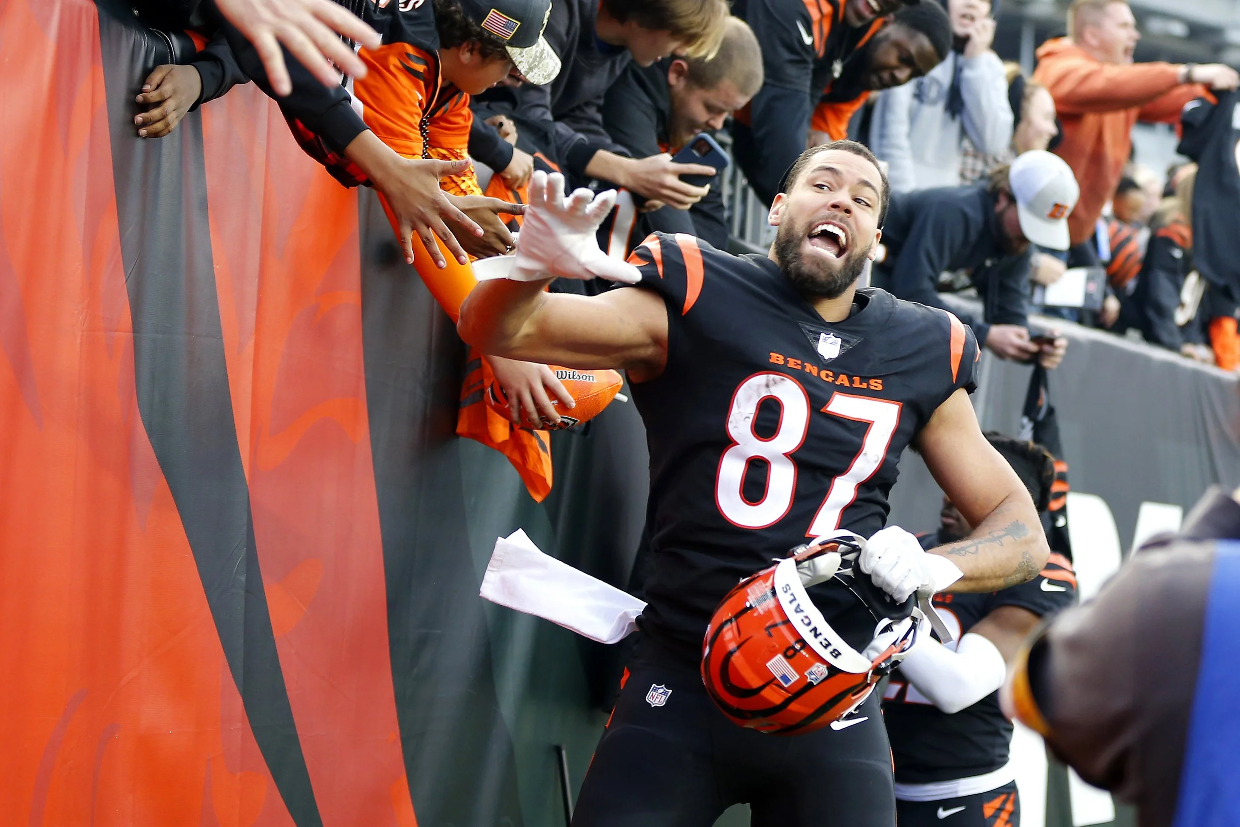 Raven v. Bengals 31.jpg