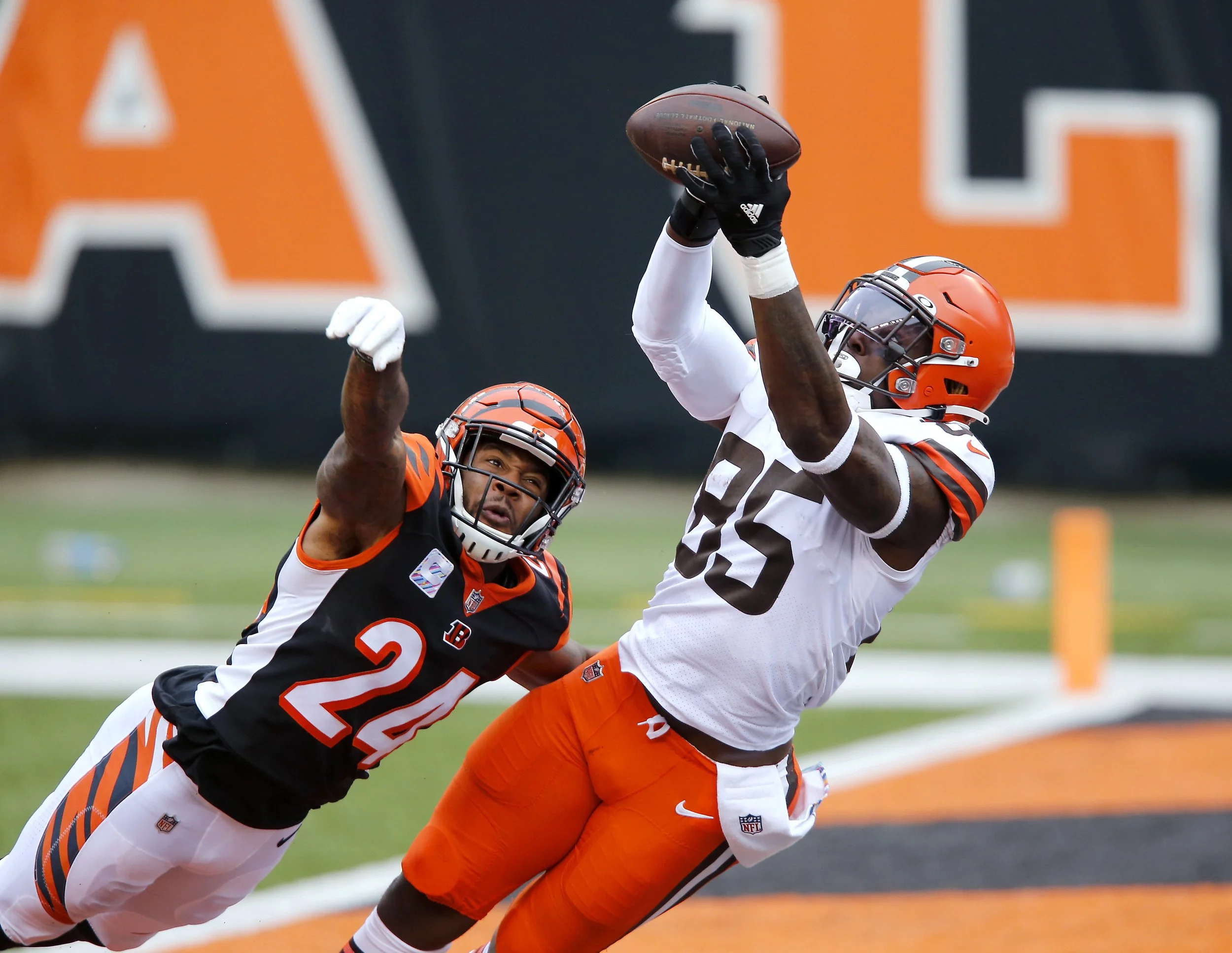browns v. bengals 43.jpg
