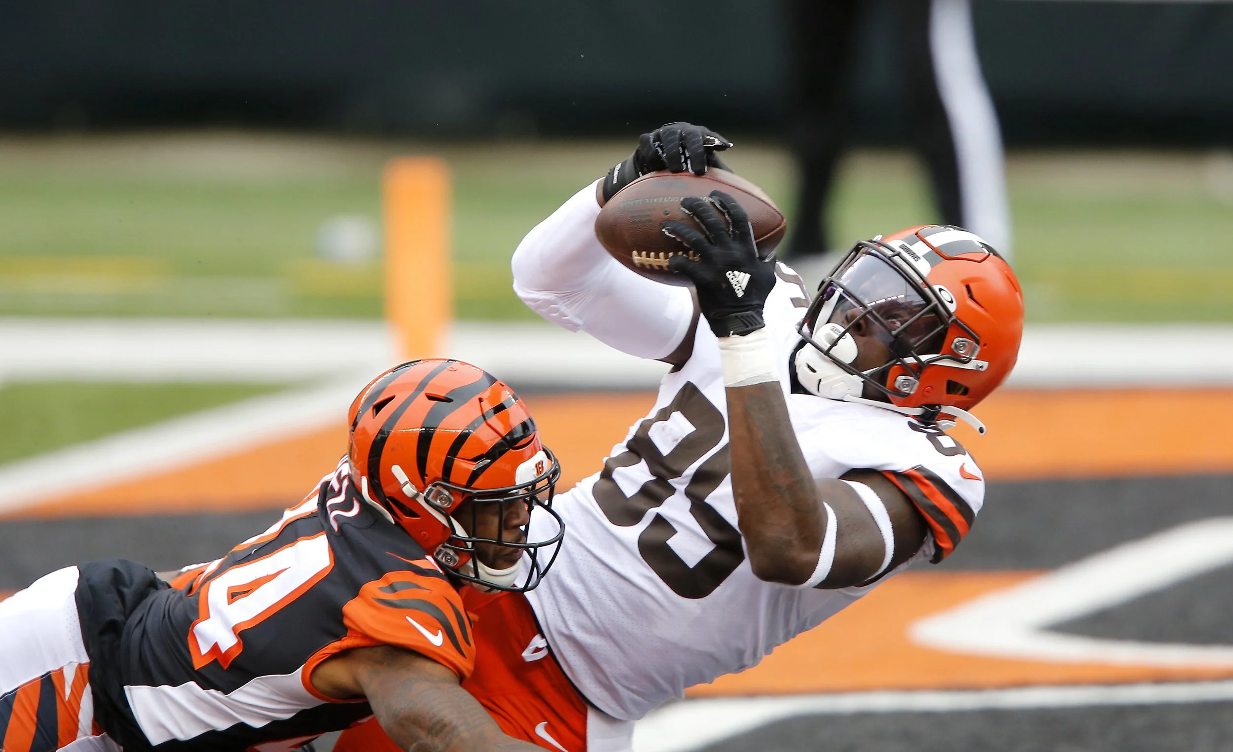 browns v. bengals 31.jpg