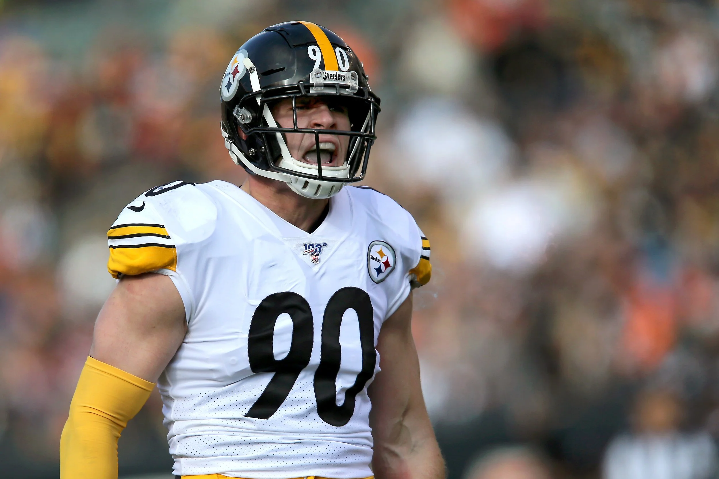 Bengals v. Steelers 8.jpg