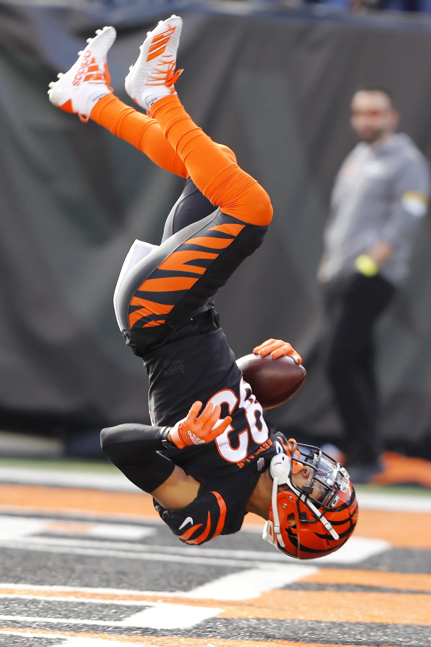 Raven v. Bengals 5.jpg