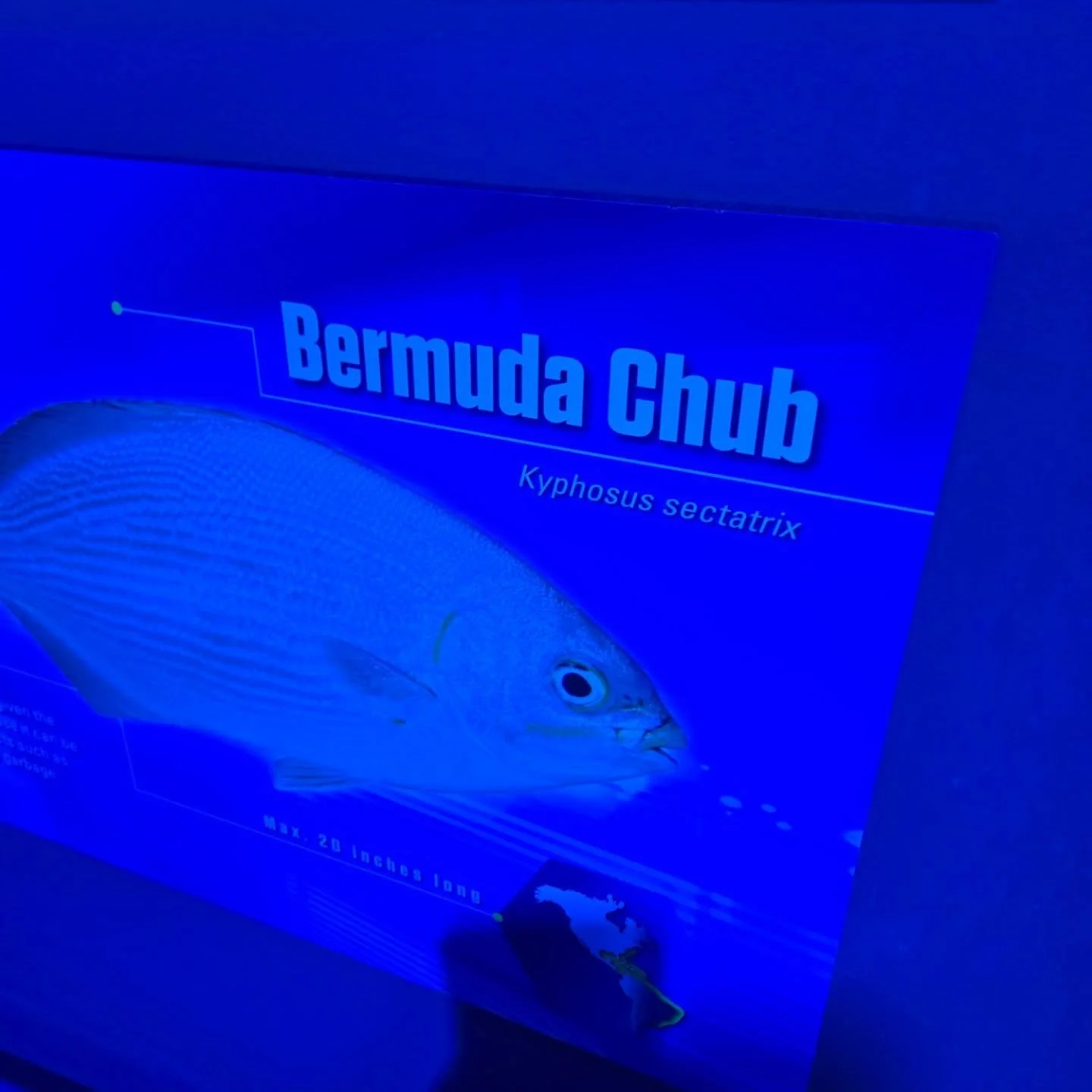 In extra innings, instead of a runner starting on 2nd base, both teams should play with only 2 outfielders.