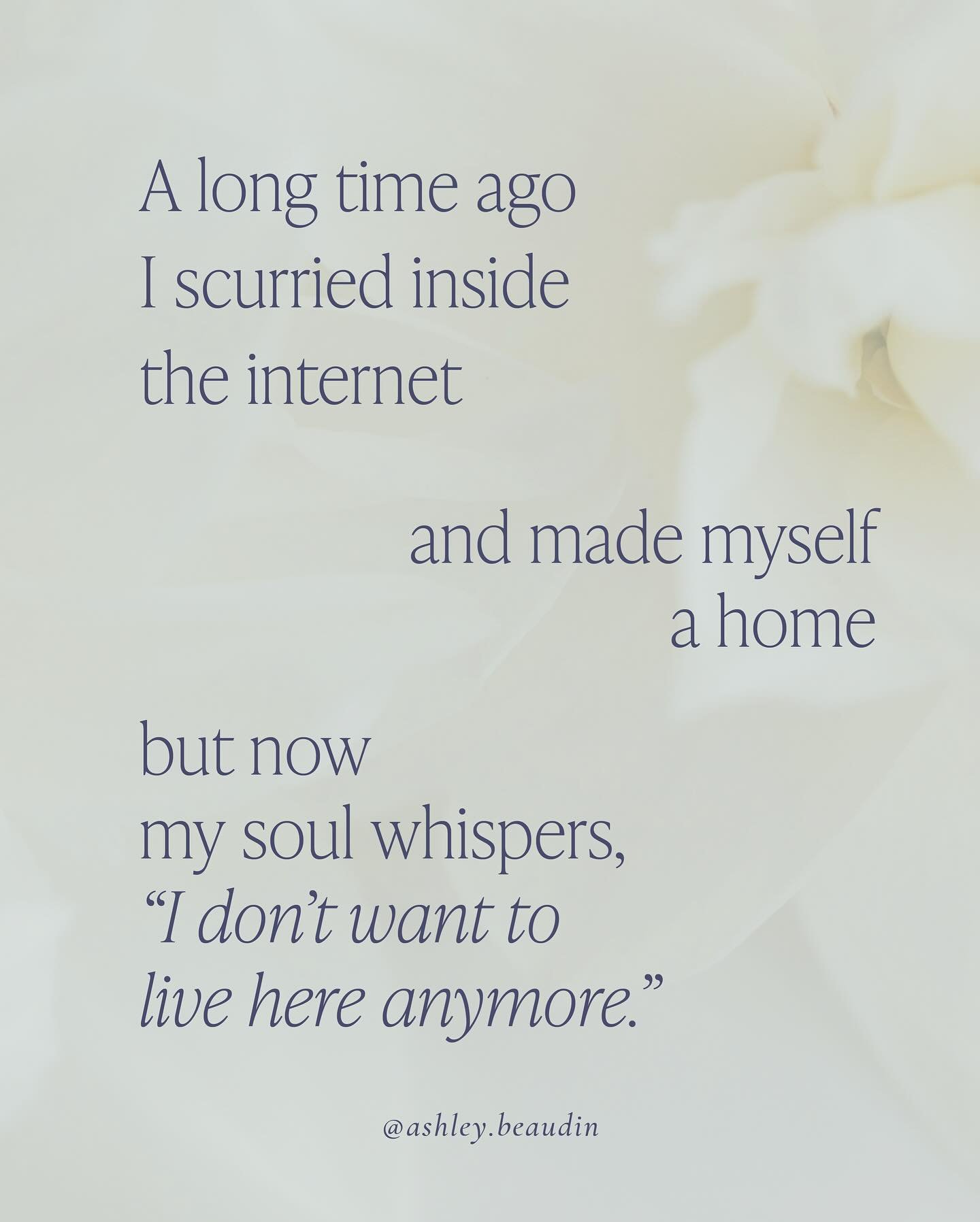 Poem of the week. It&rsquo;s a reckoning really. To decide that you don&rsquo;t want the internet to be your entire life anymore. And to dream of a way of living your precious existence and doing your most integral work a bit more disconnected. But m