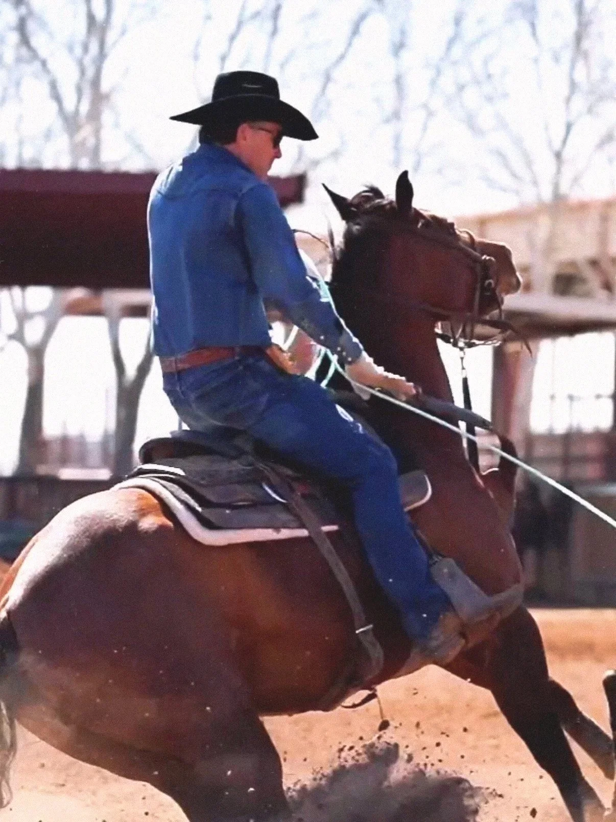 Team Roping/ Horsemanship