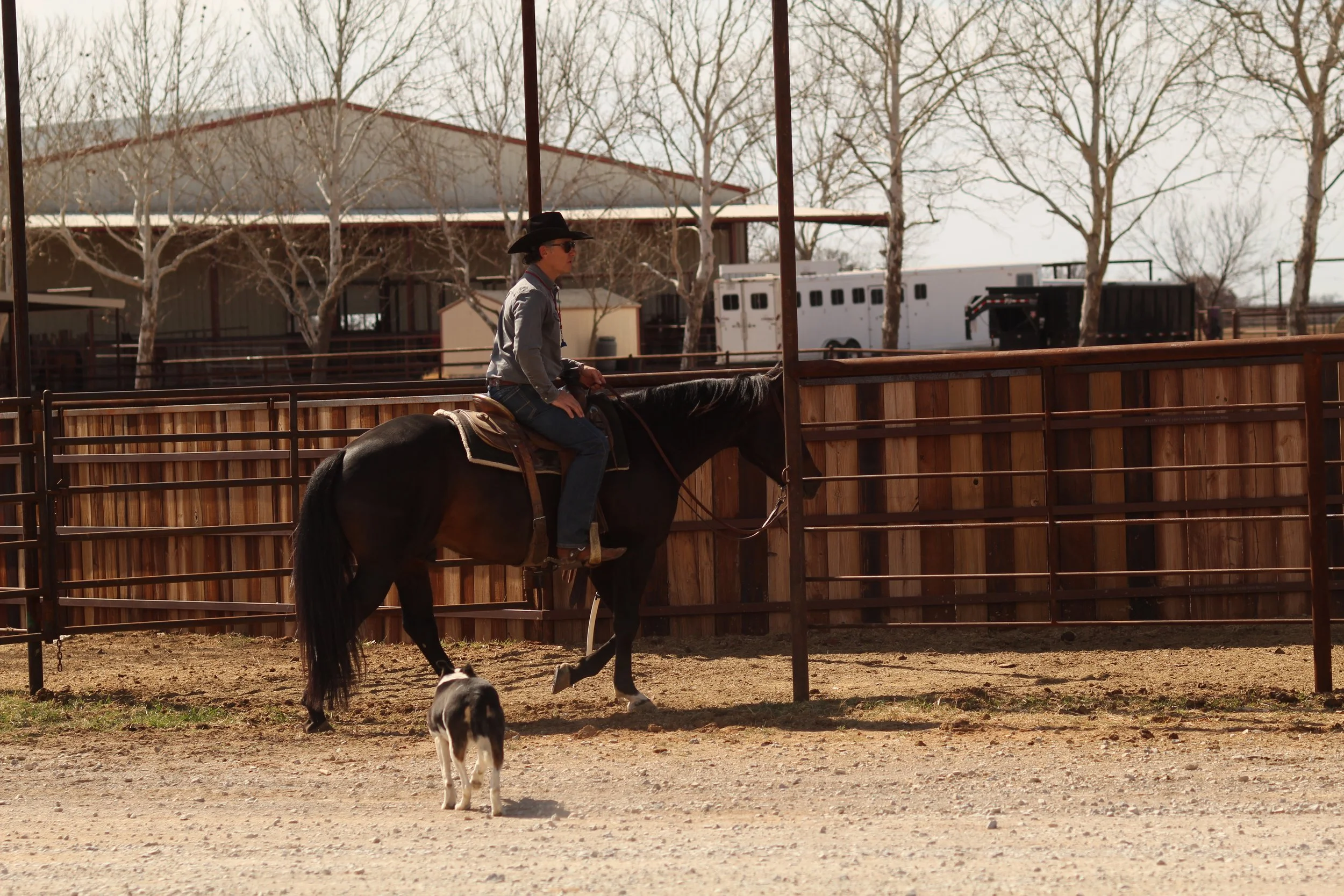 2 Day Horsemanship
