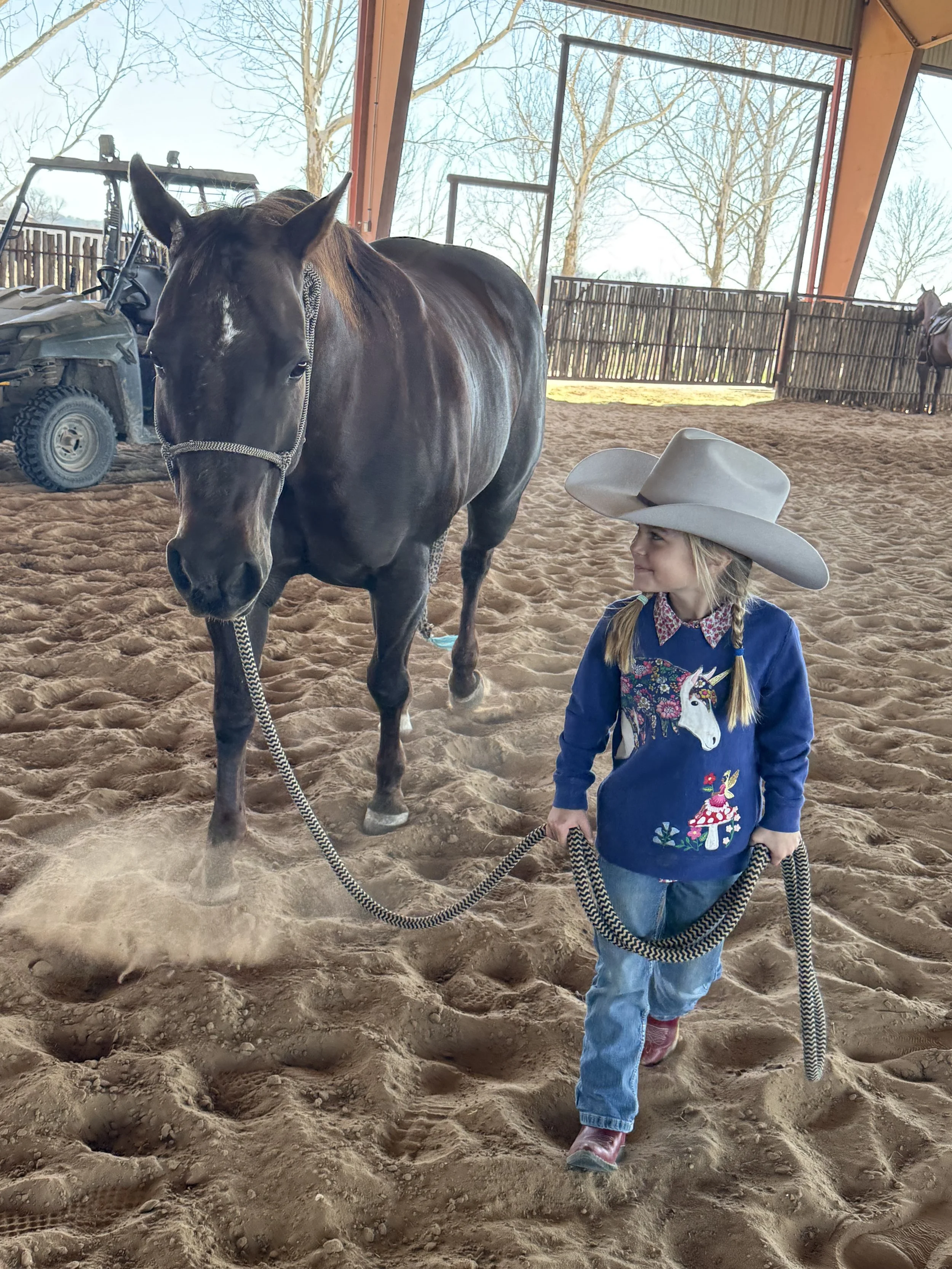 Youth Horsemanship Intermediate Summer Clinic