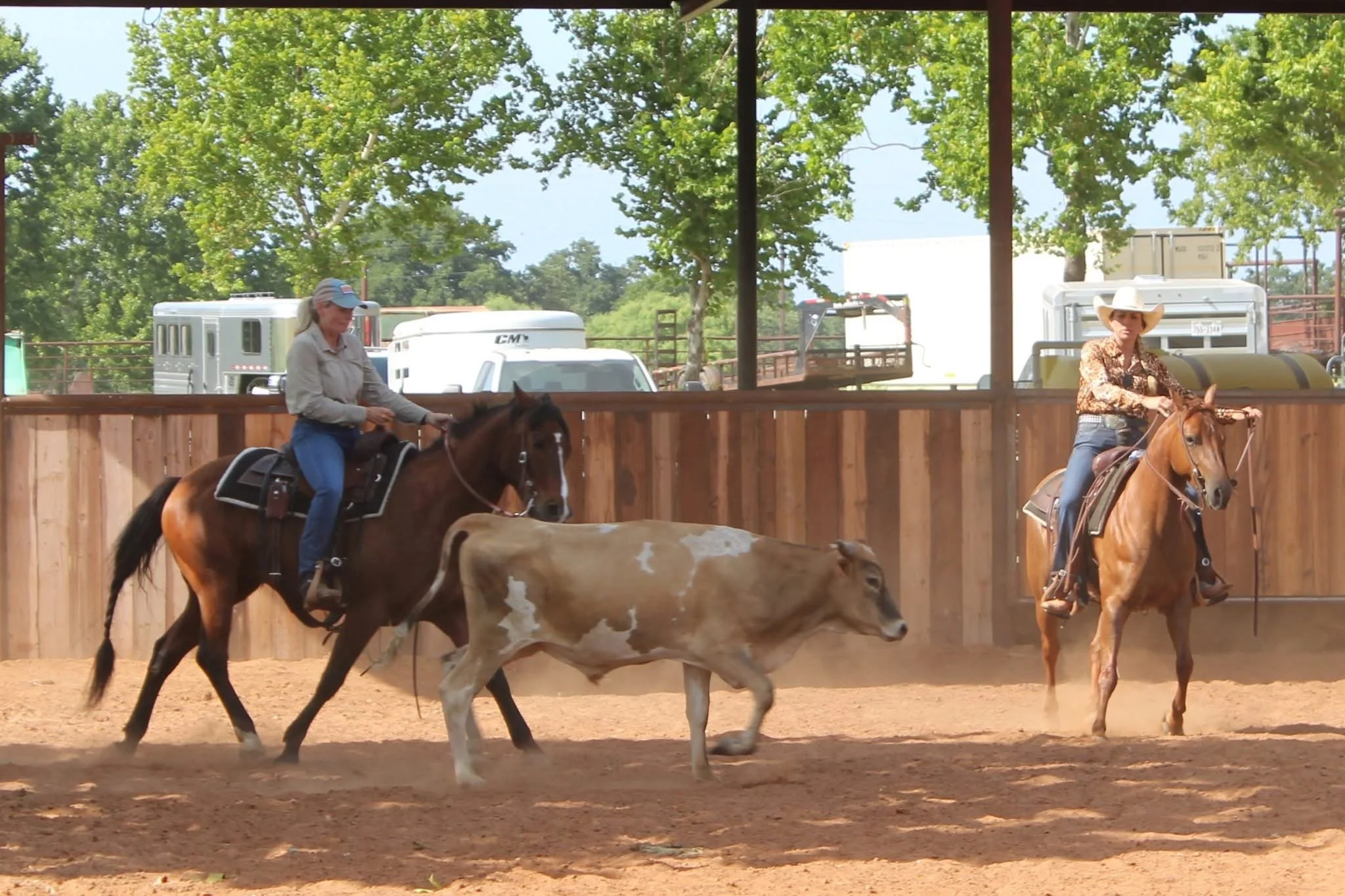 Horsemanship/ Cow work