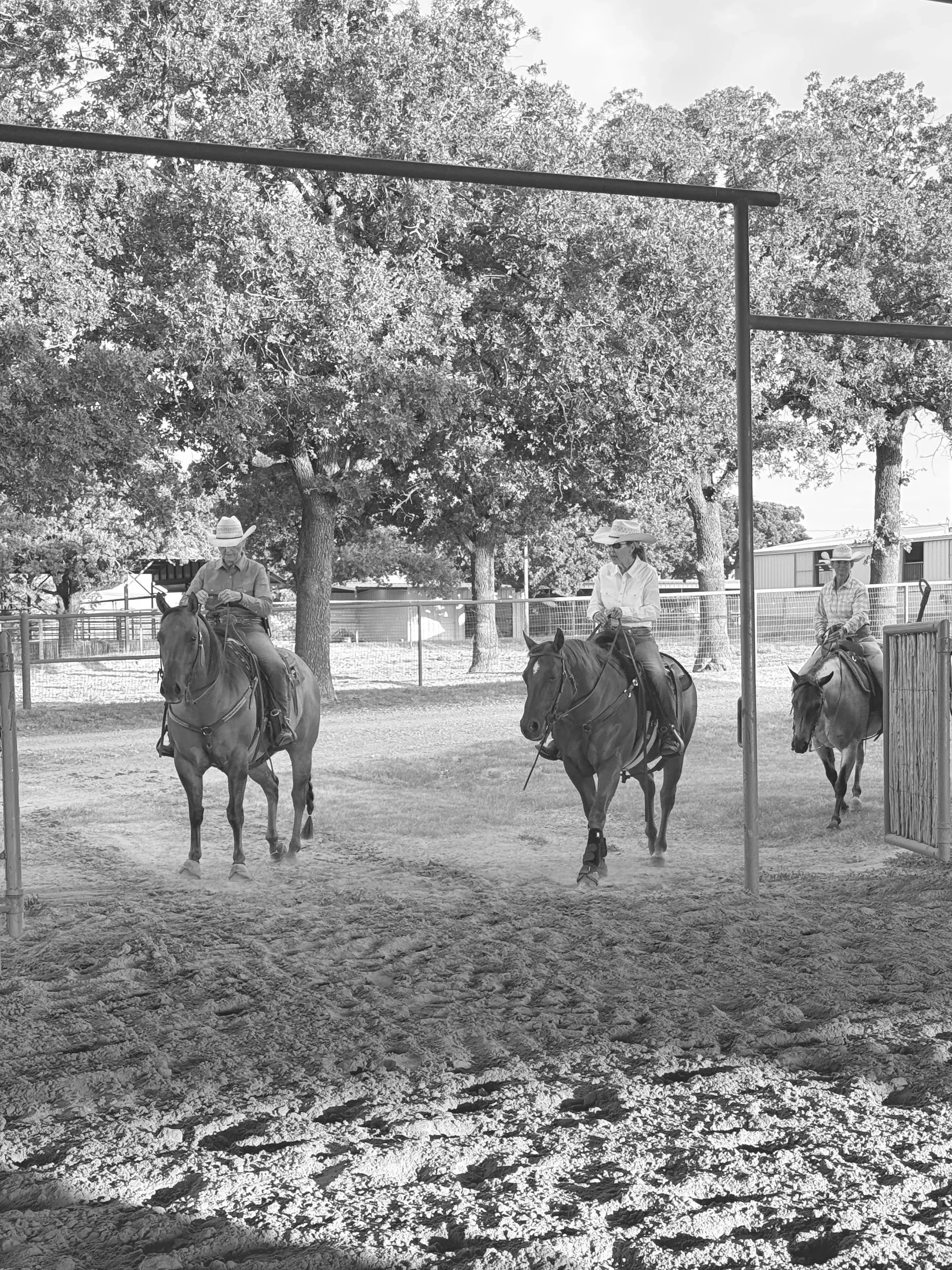 bring a NEW friend! horsemanship day
