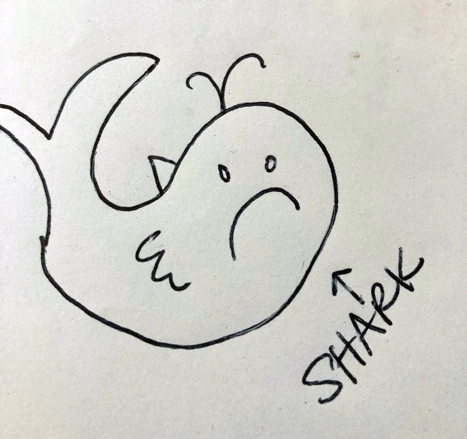 drawing of a whale with the word shark