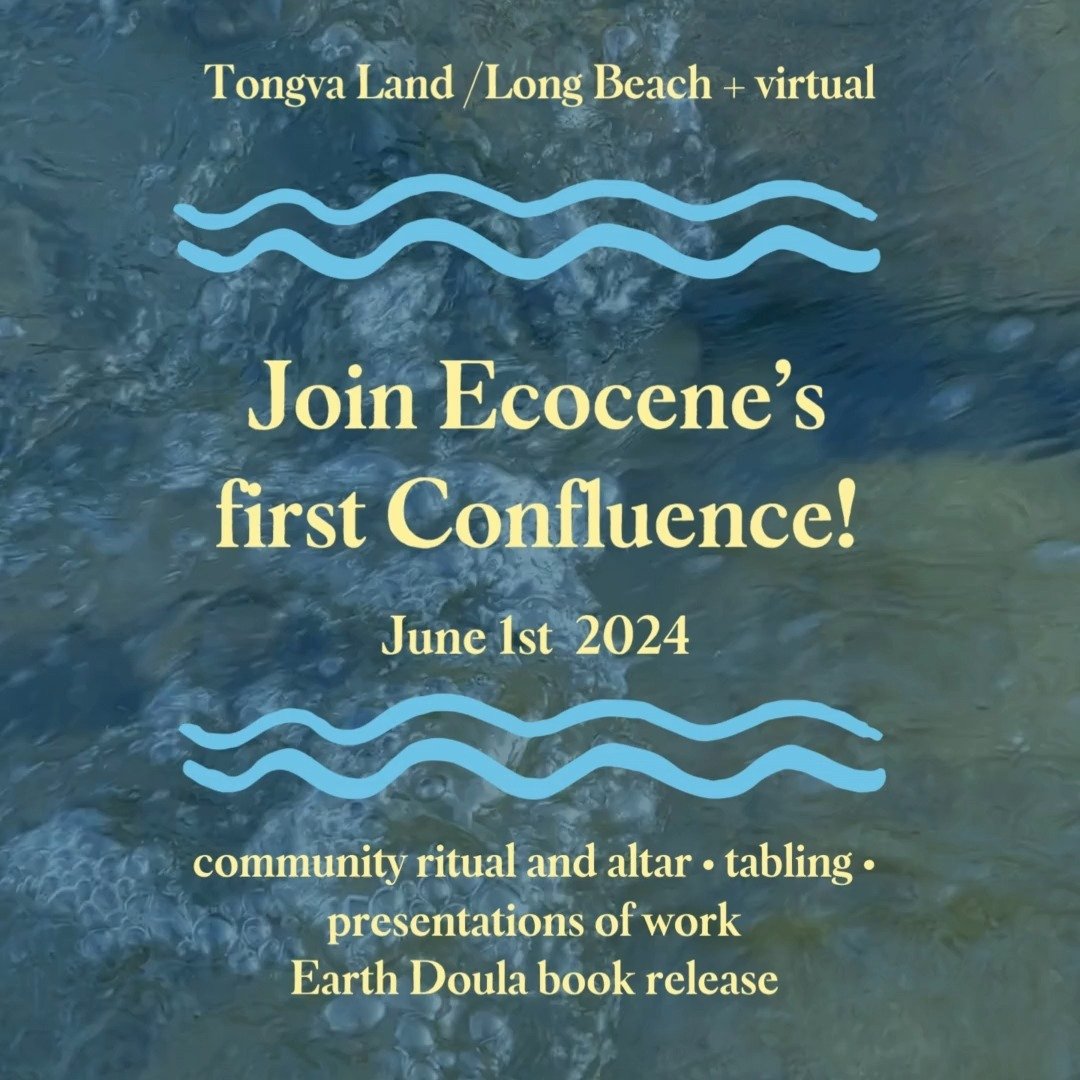 Join Ecocene&rsquo;s first Confluence!

June 1st, 2024
In person and virtual

For the past four years, we have connected with Earthworkers, healers, artists, and teachers through online classes and platforms. 

This year, we are hosting our first com