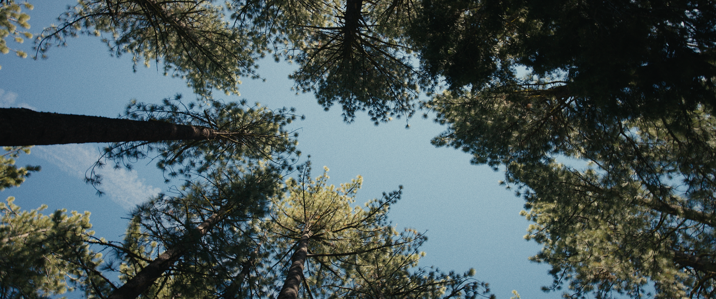 vlcsnap-2026-09-02-09h31m49s693.png