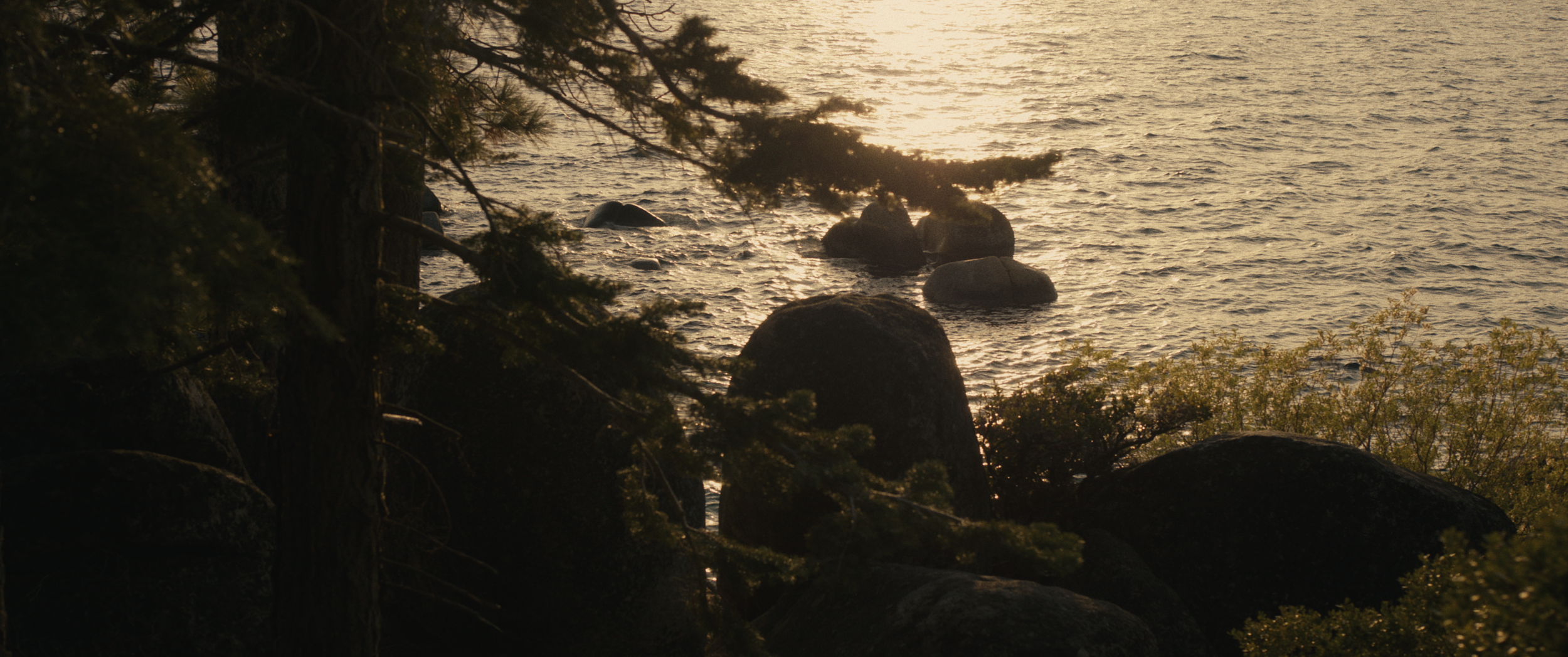 vlcsnap-2026-09-02-09h30m40s603.png