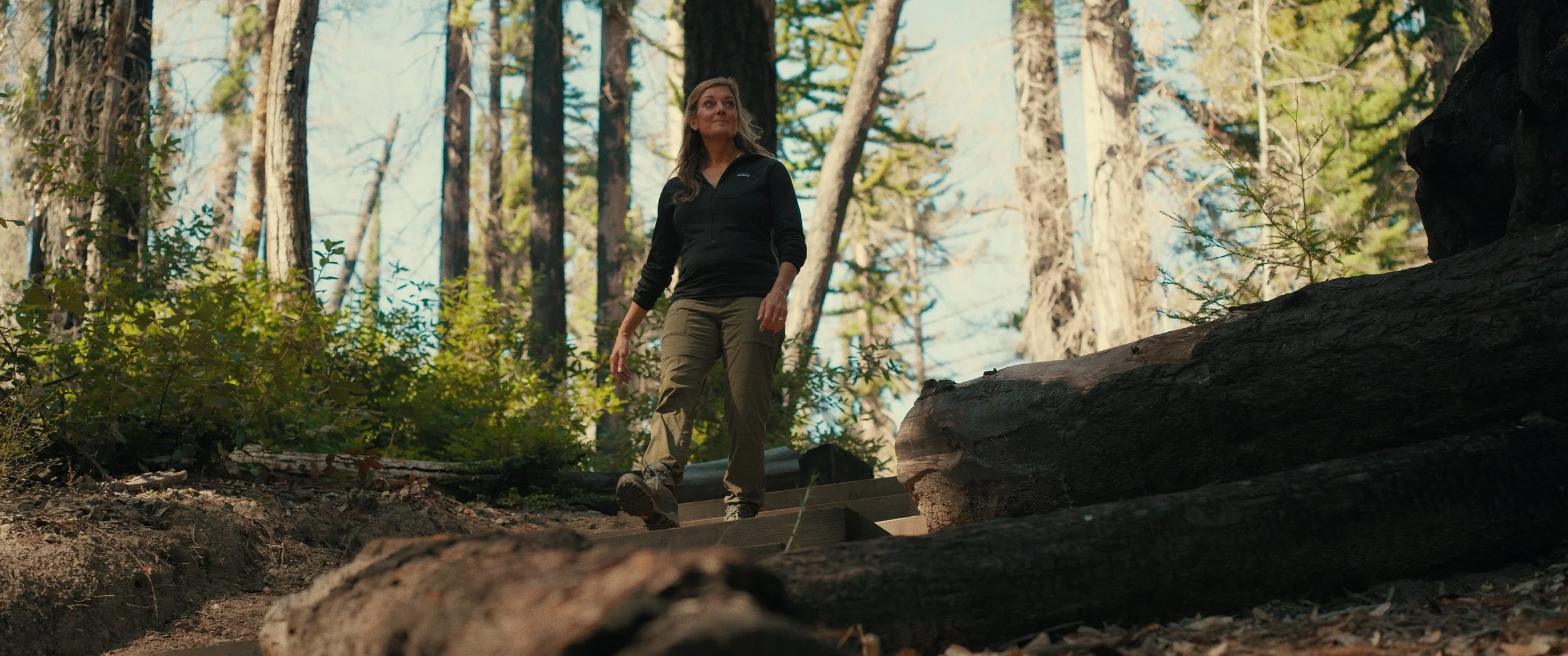 Still 2025-06-16 092440_3.14.1.jpg