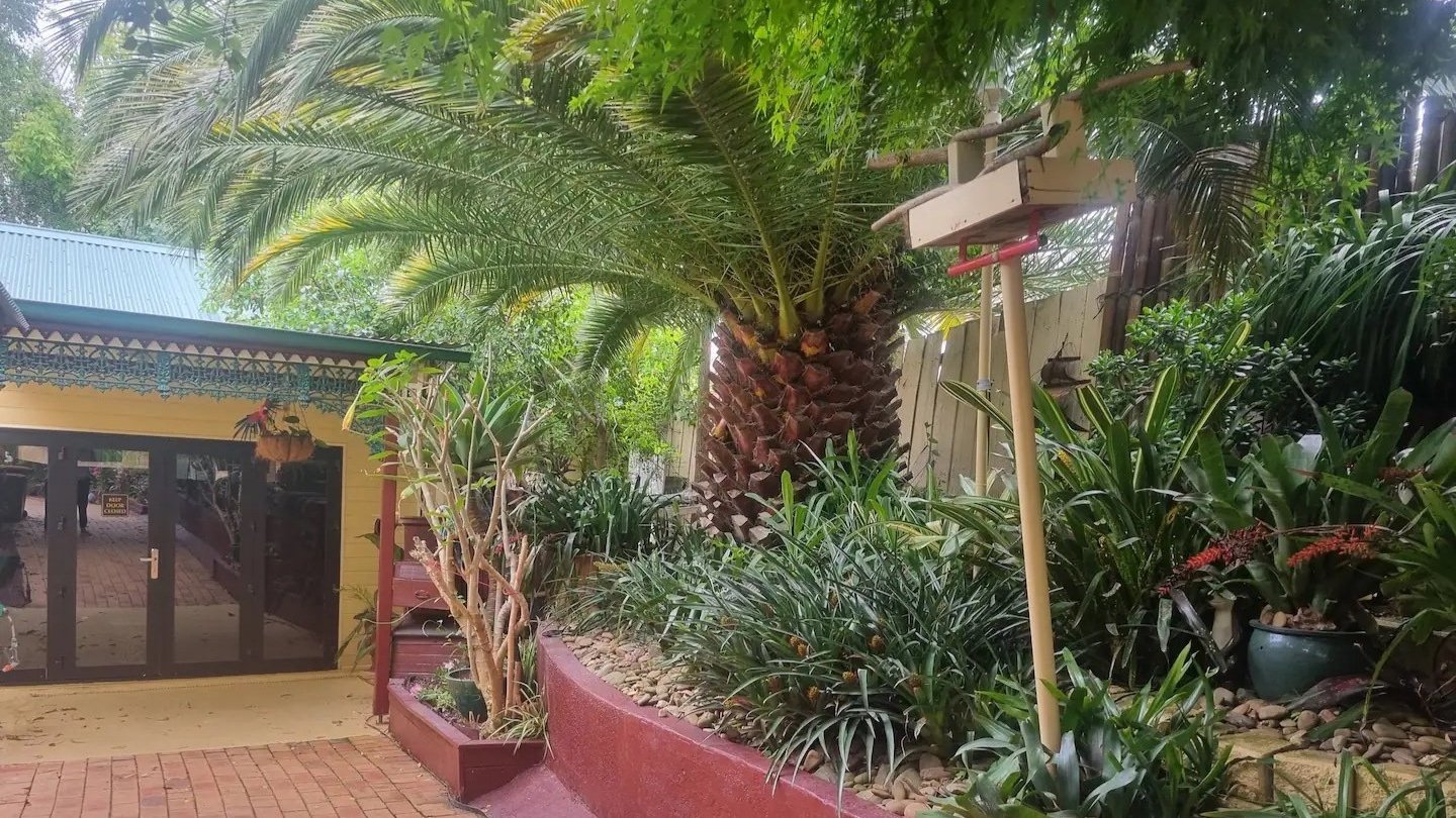 Darley Tropical Paradise