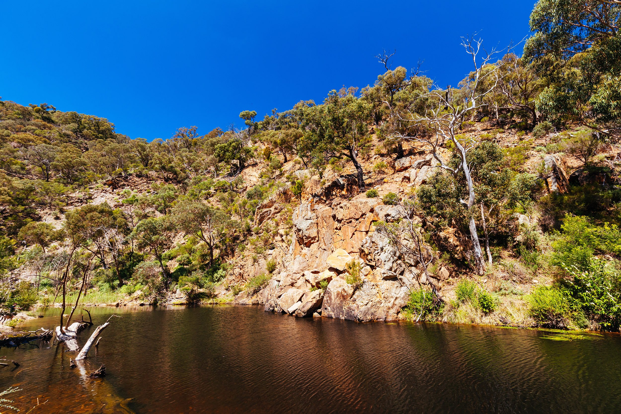 Lerderderg Gorge Circuit Walk6.jpg