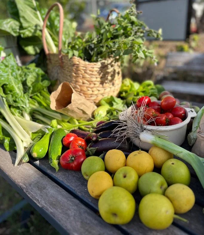 Catalyst Community Art Garden Plant and Produce Swap