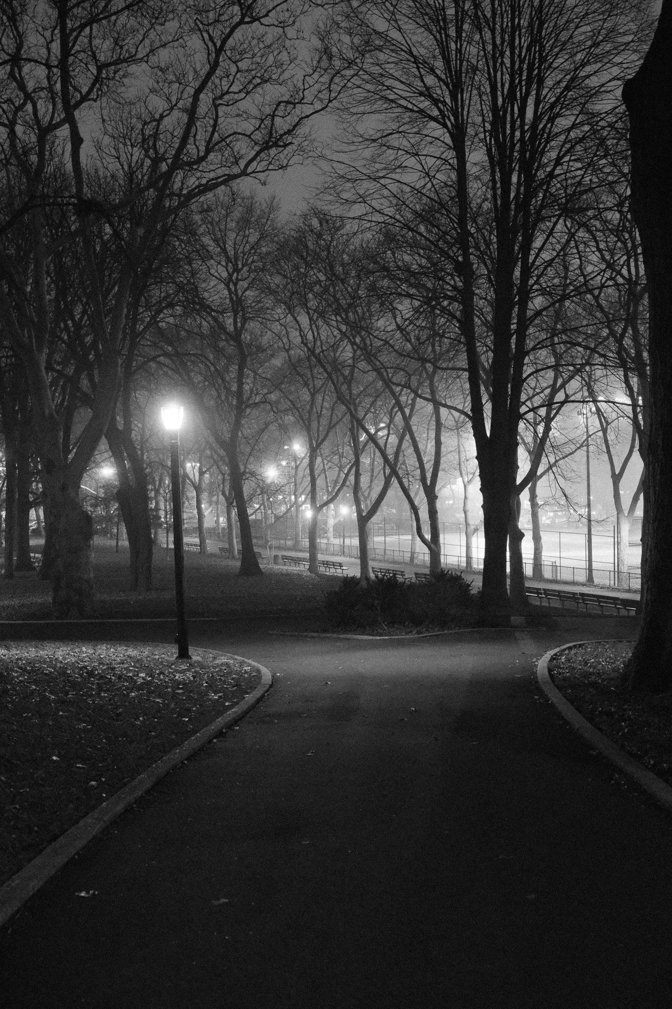 "Hazy Night" Print