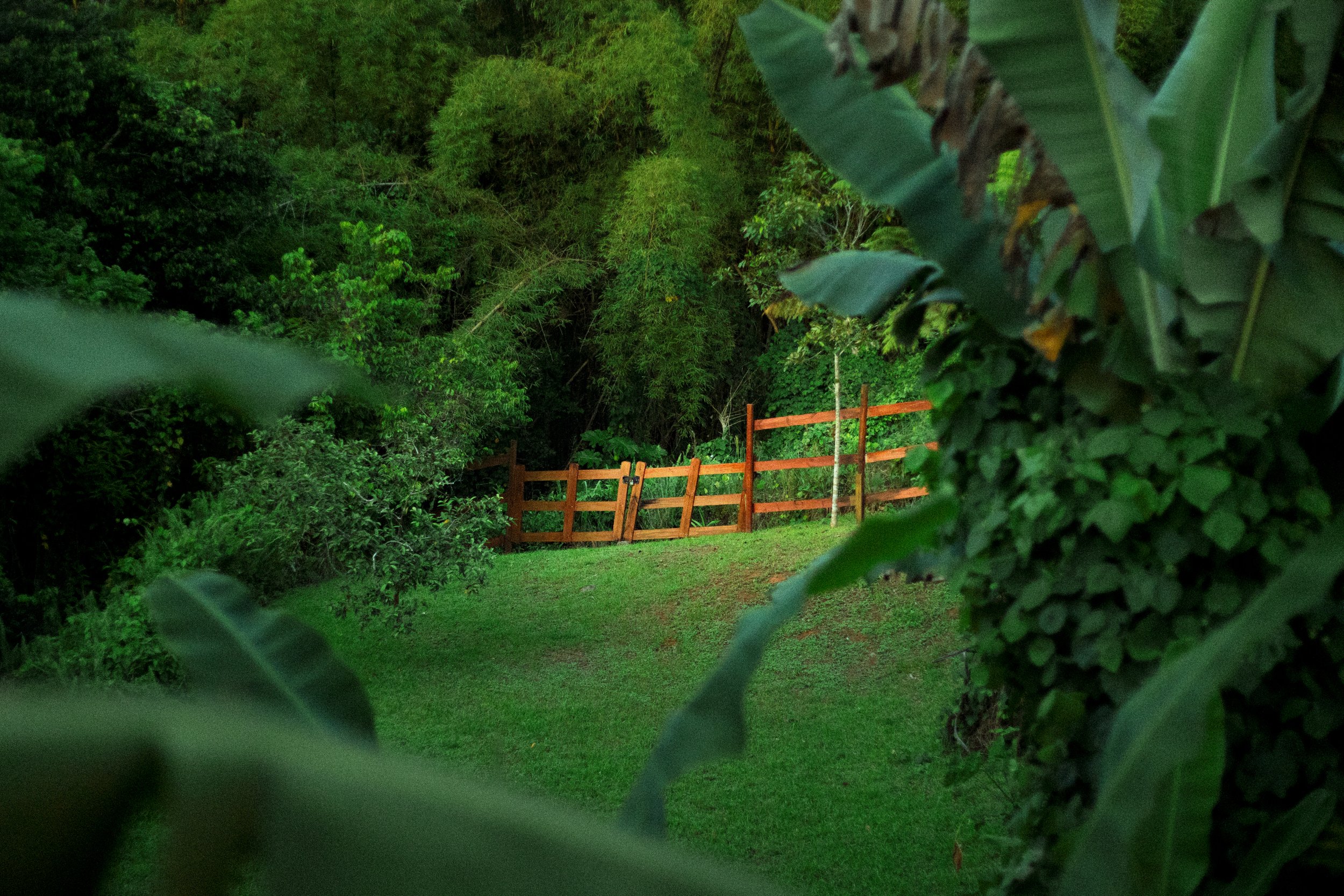 3-06 PM0Oct 08 202515-30-58729A2215-1.jpg