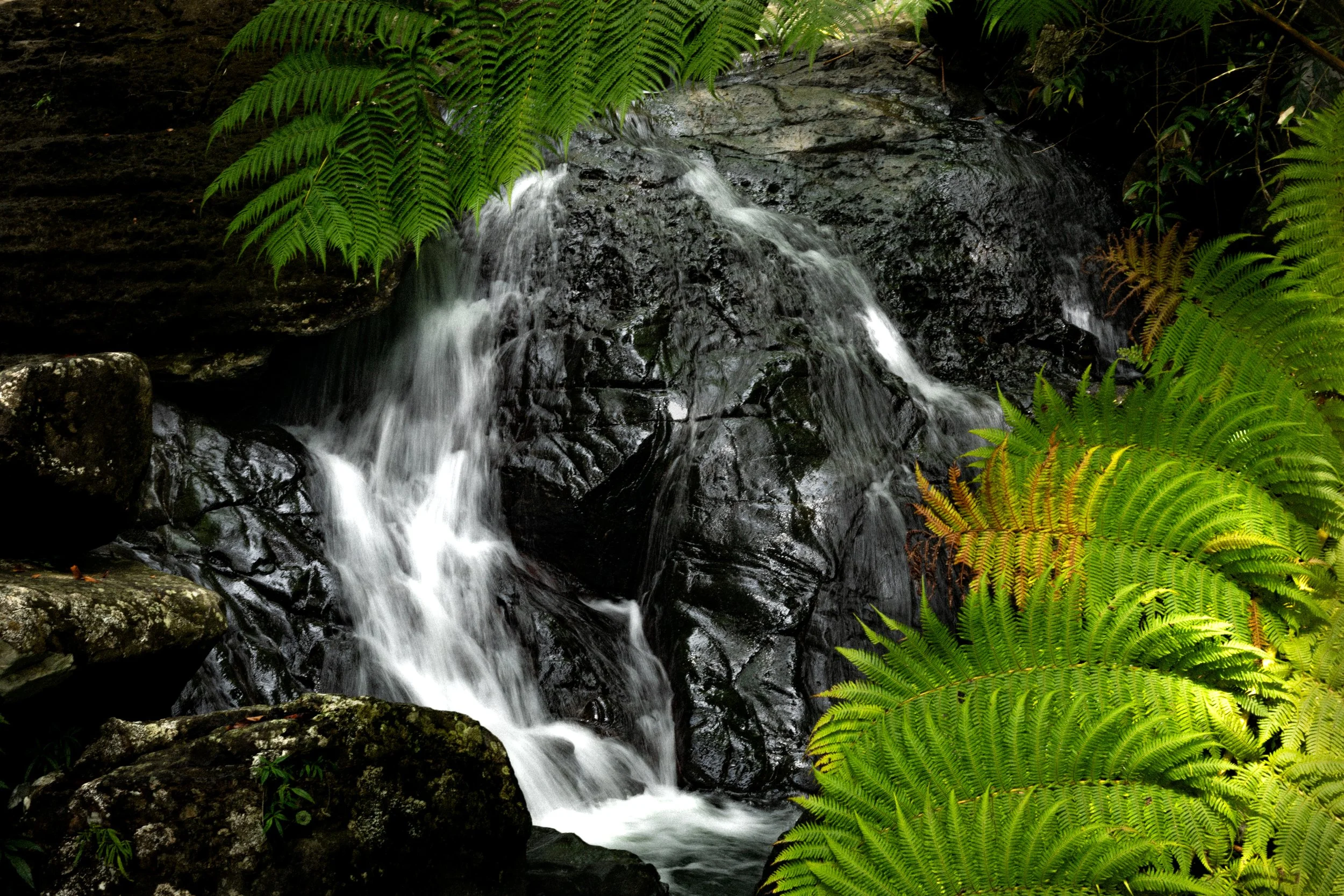 8-50 AM0Oct 10 202515-30-58729A2355-1.jpg