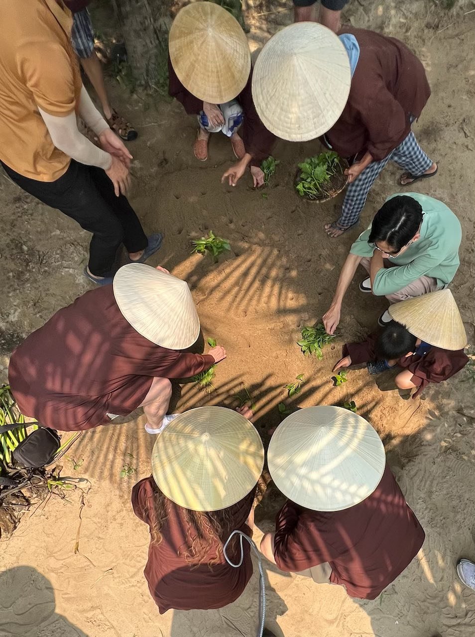 Vietnam Travel Study 