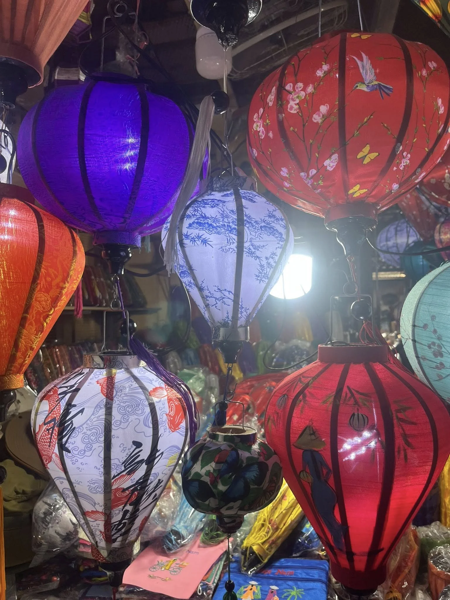Vietnam Travel Study 