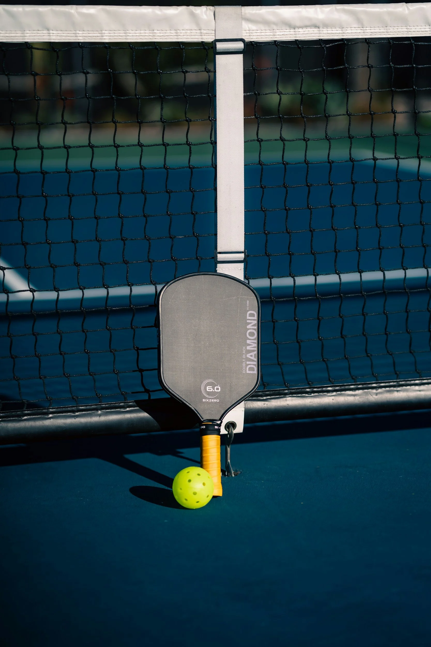 T-D Pickleball Team 
