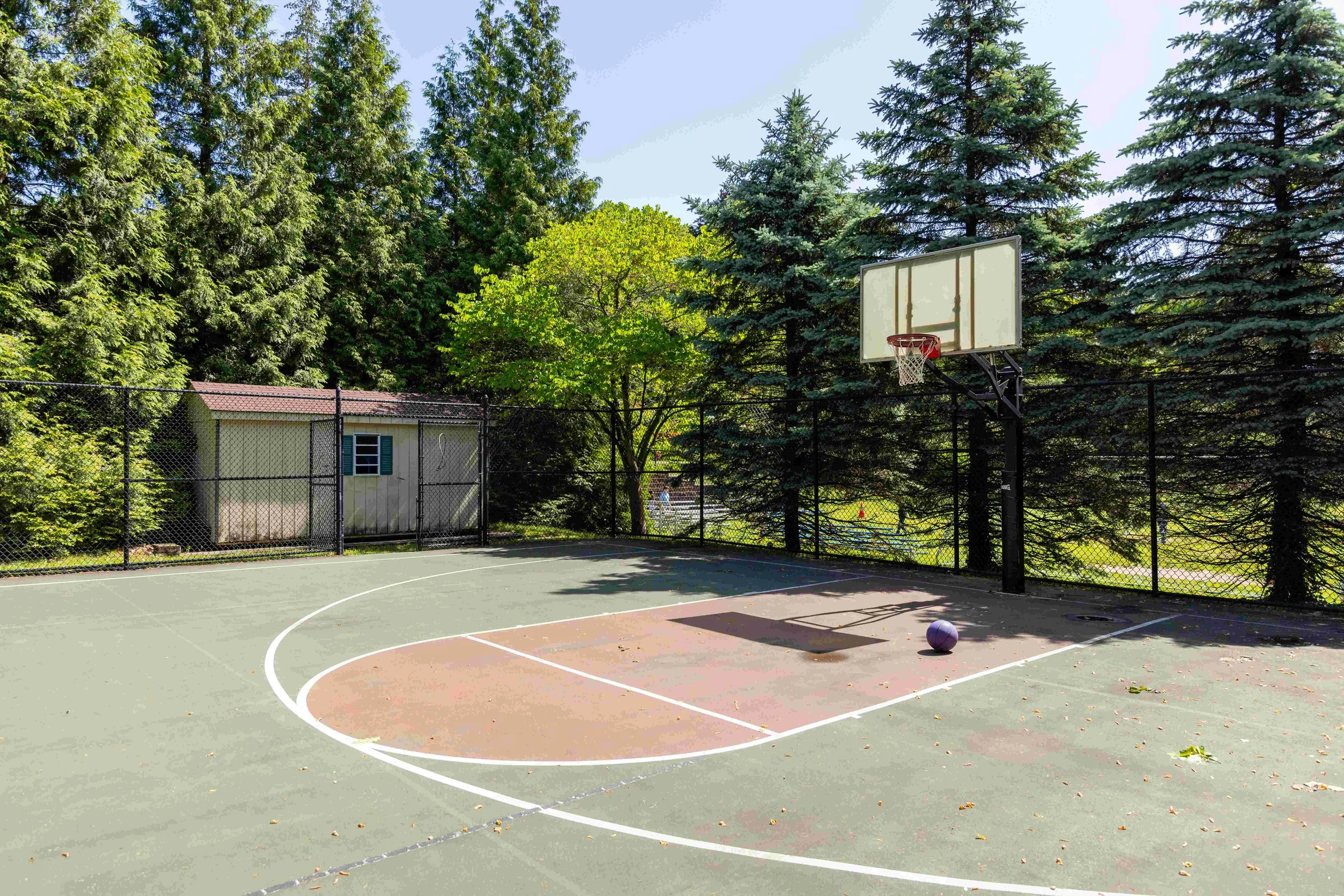 An outdoor basketball court with a basketball hoop, a purple basketball, surrounded by trees and a fence, a small shed is visible in the background.