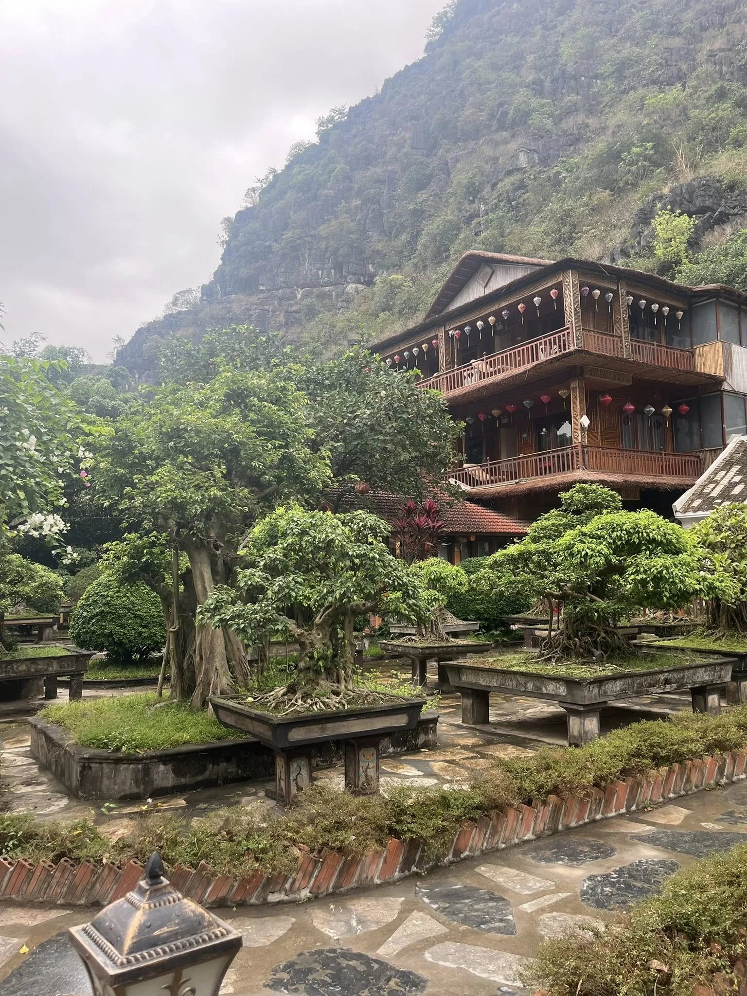 Vietnam Travel Study 