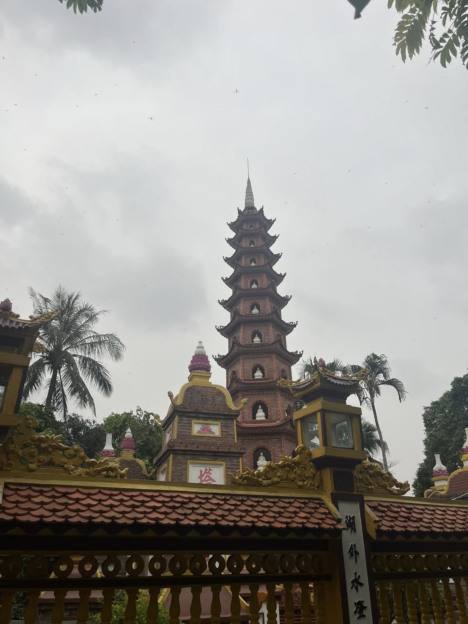 Vietnam Travel Study 
