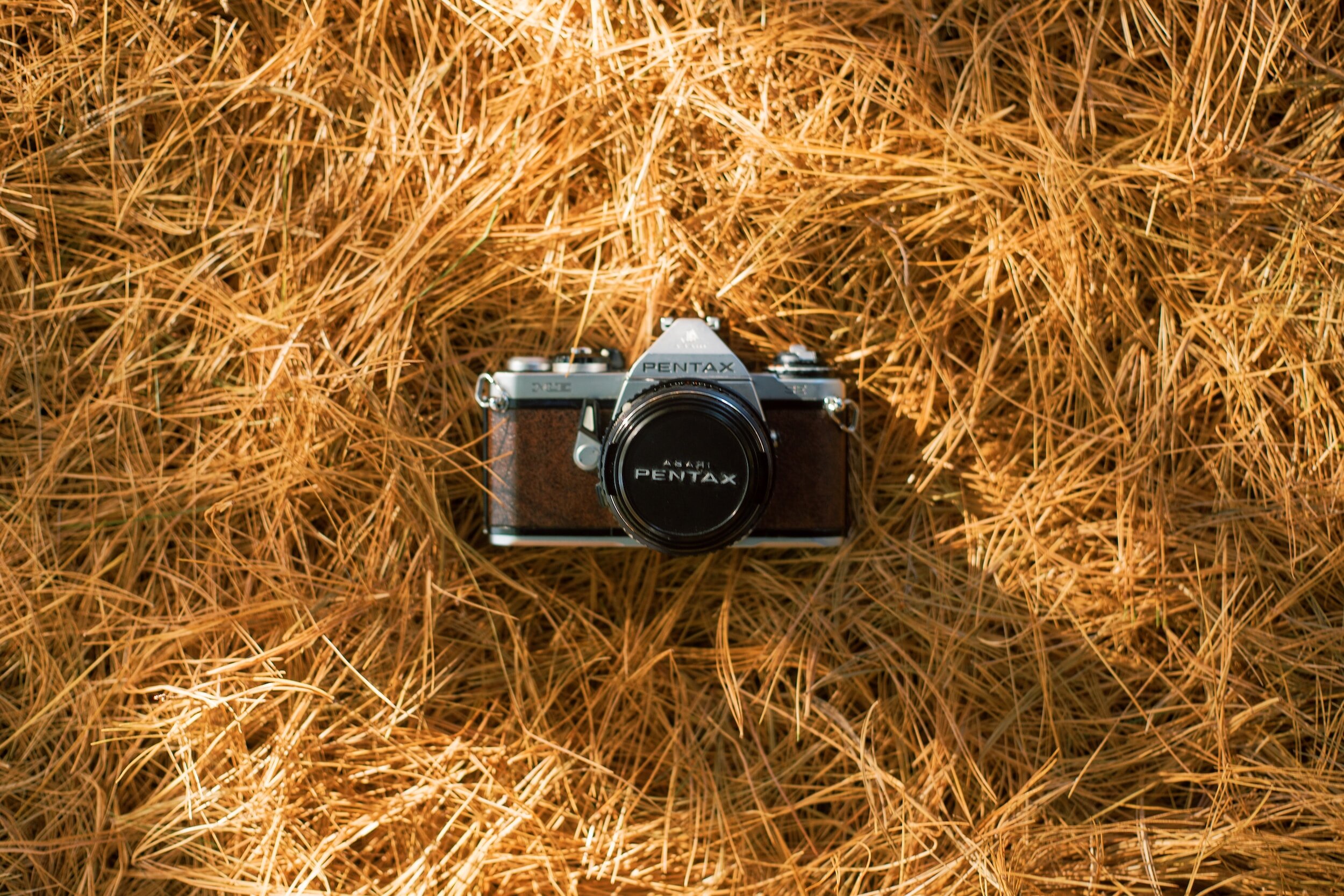 Fall Farm Mini Session
