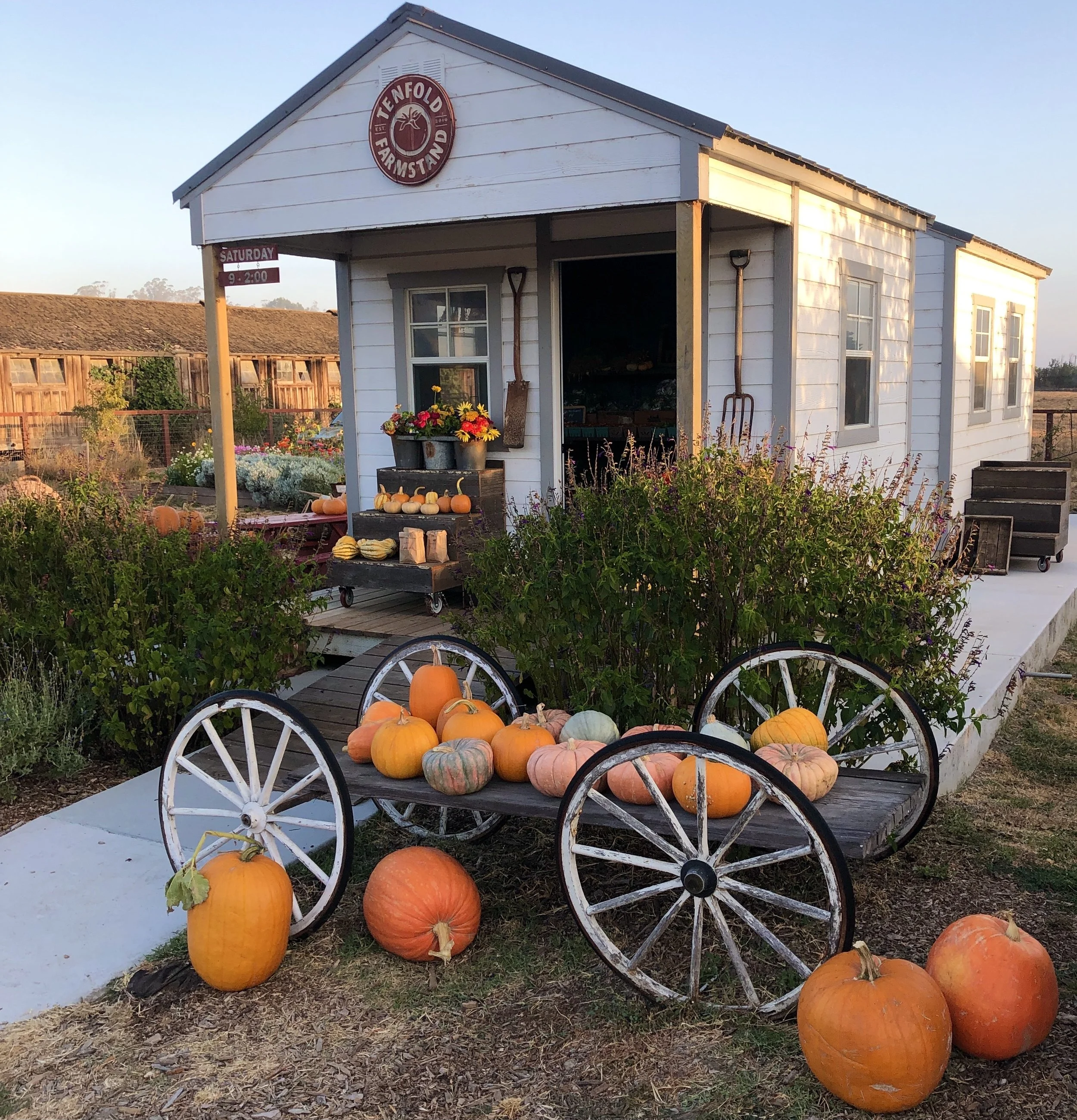 Thanksgiving Shopping Special Hours