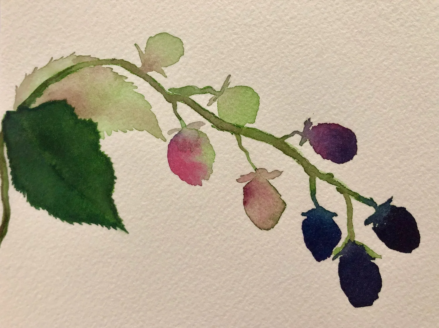 Watercolor Fundamentals Part 2 (Class 1 of 6)