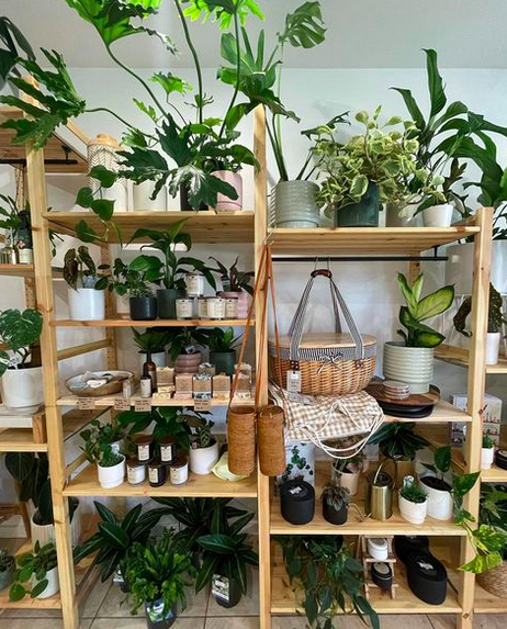thebotanichouse.png