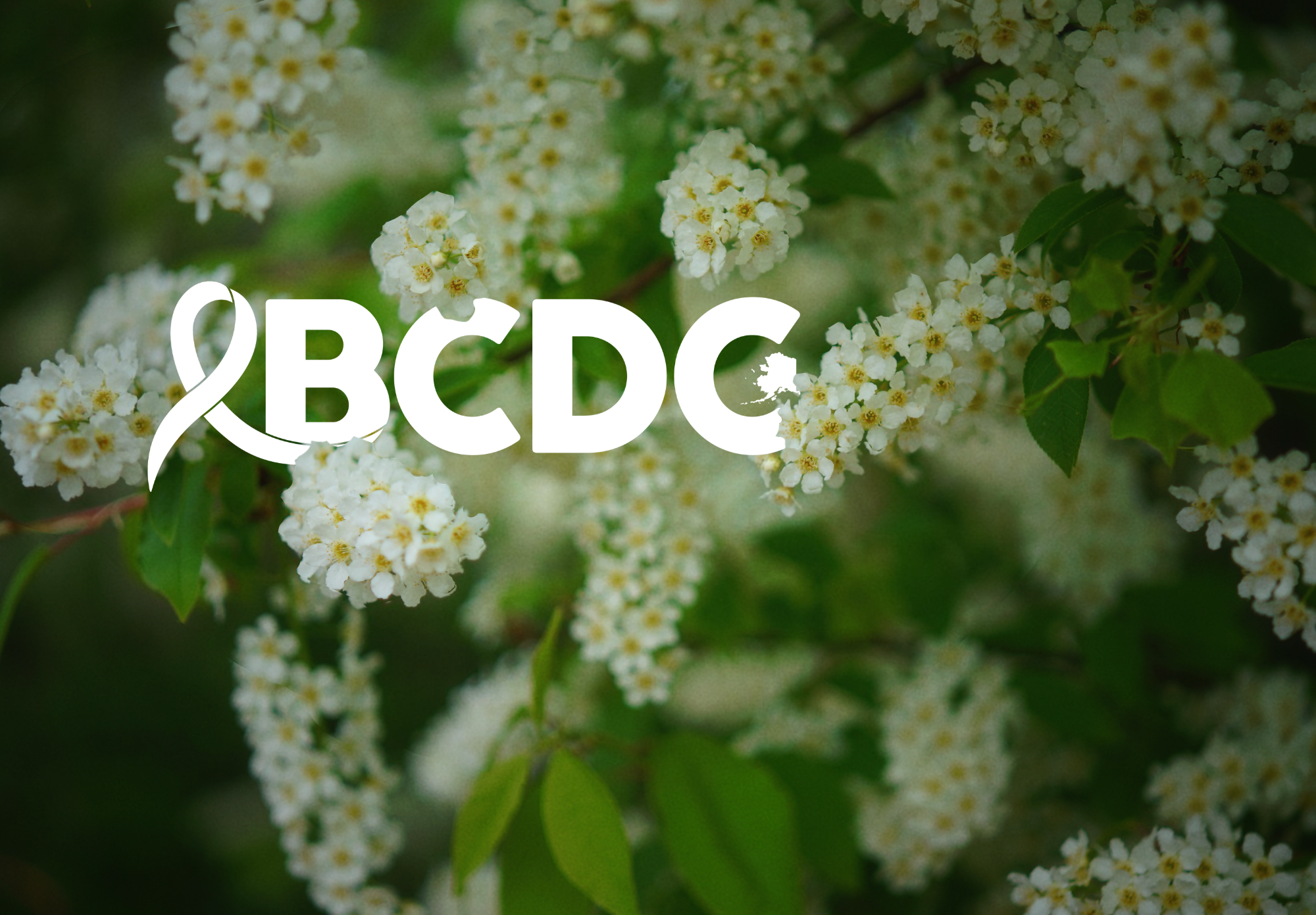 About Us — BCDC