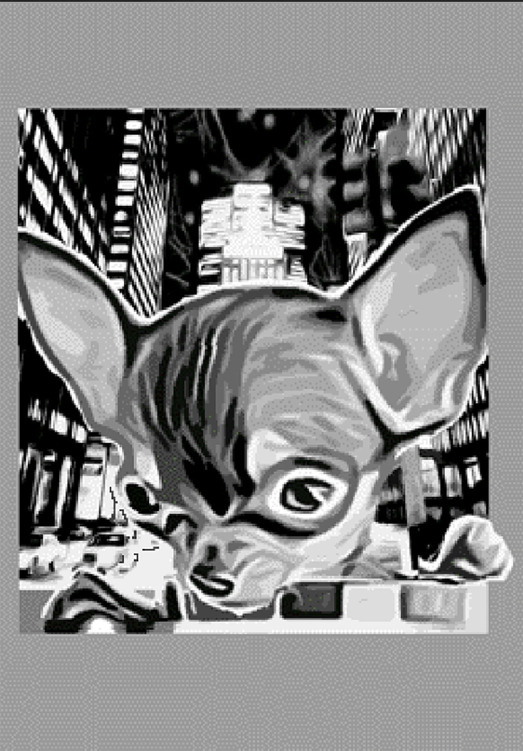 Chihuahua, digital drawing, 2015.
