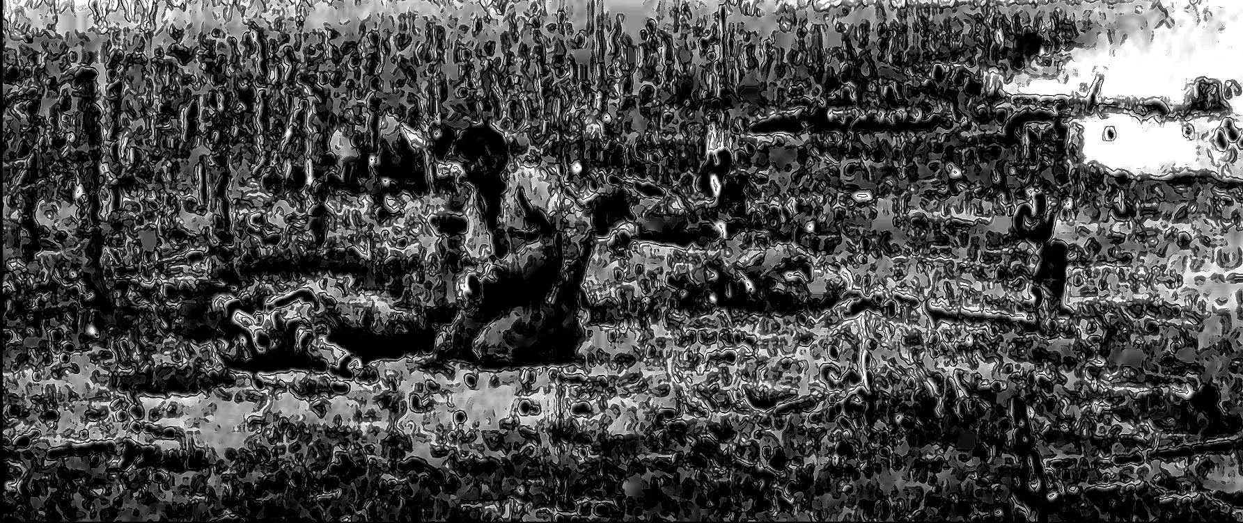 Battle 2025, digital collage.