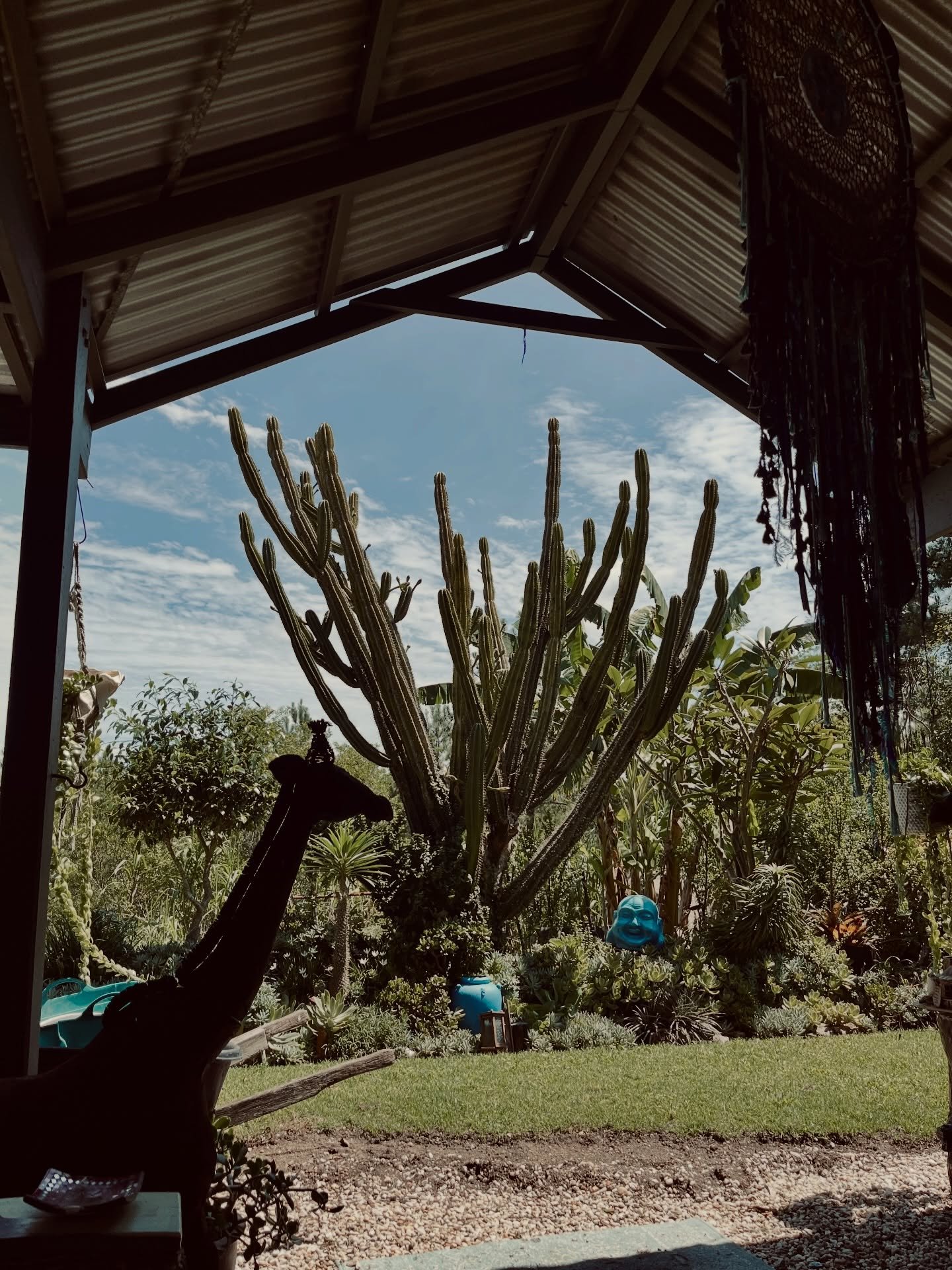 Good week. A new &amp; interesting place, a suspiciously large puppa, and Sam campaigns to become a right angle. 
.
How was your week?
.
.
.
#AuthorLife #CatsOfInstagram #DogsOfInstagram #WeekendVibes #Queensland