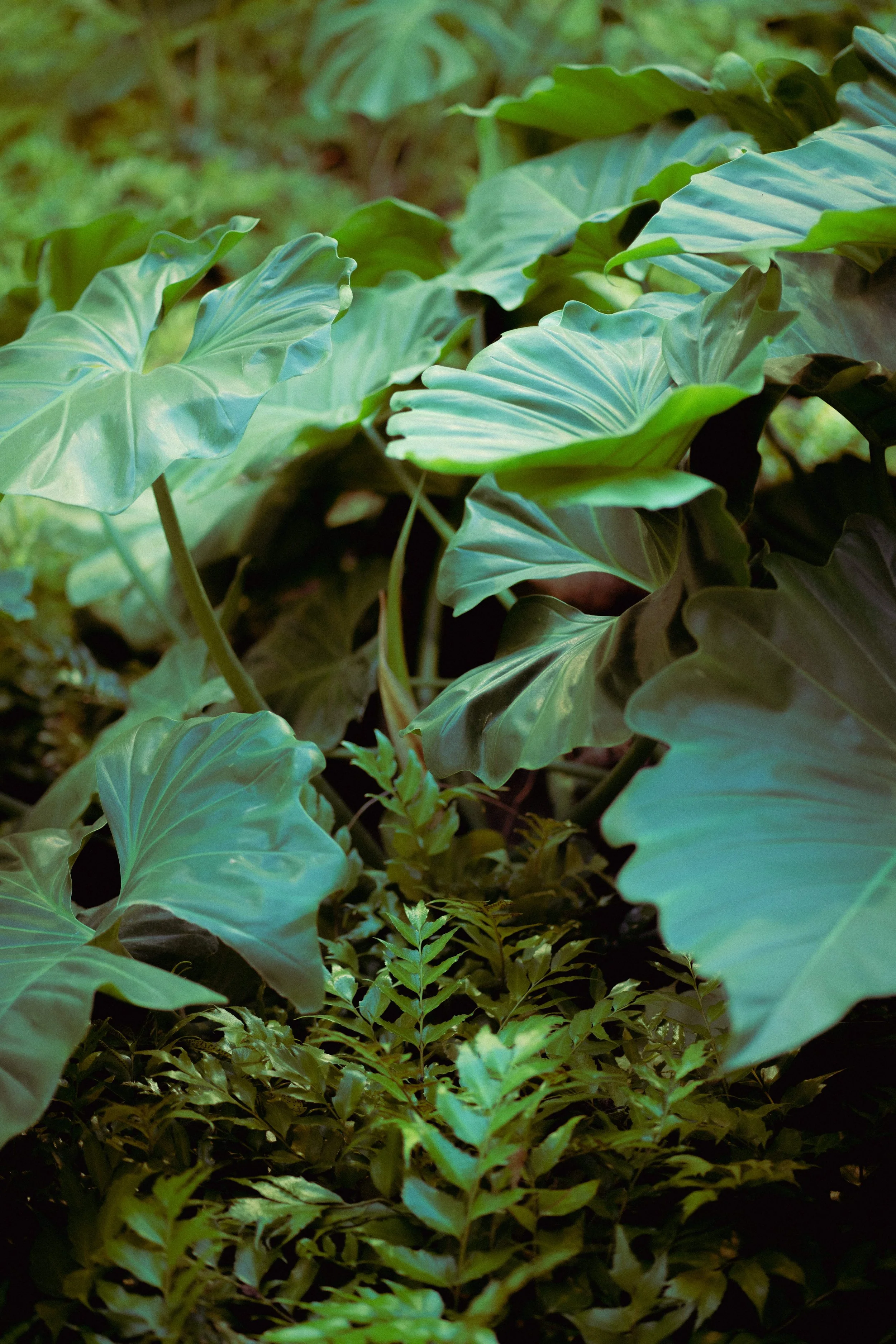 Contact — Katy Hurst Counseling & Associates