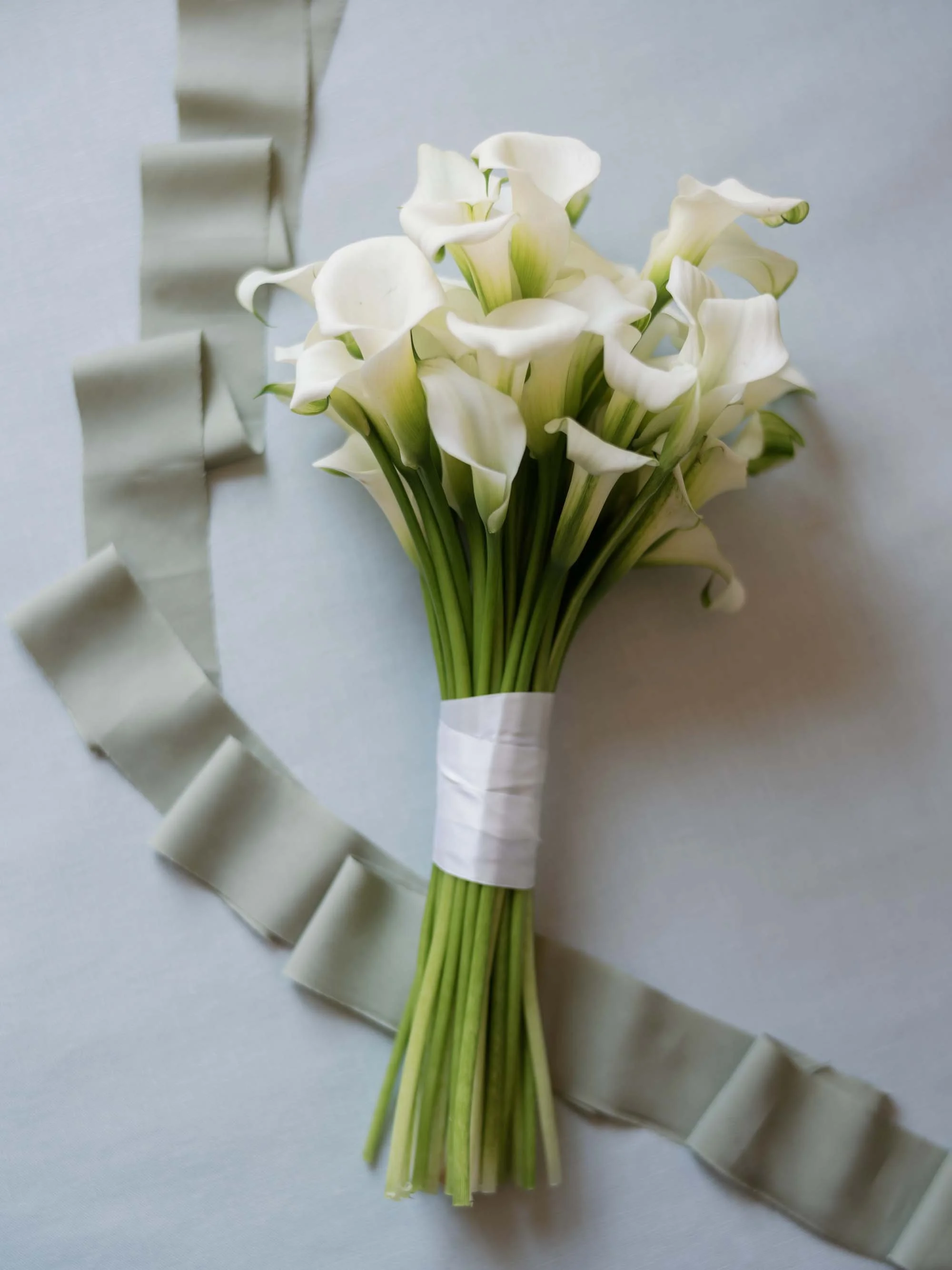 Northern California Four Seasons Napa Valley Weddings - Burke Events Wedding Planning and Design 0 (3).jpg