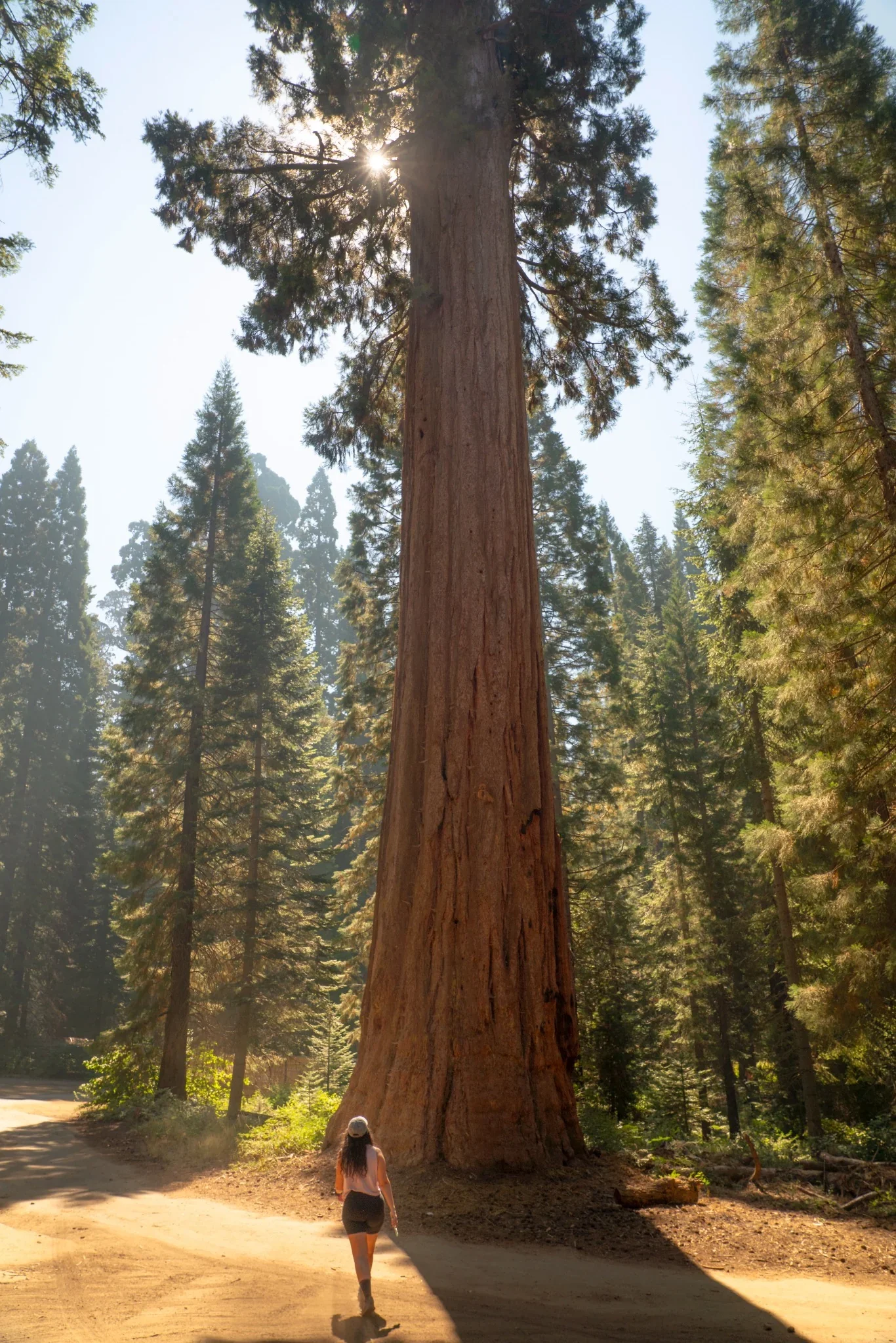 ColleenGoldhorn_VisitUSAParks482.webp