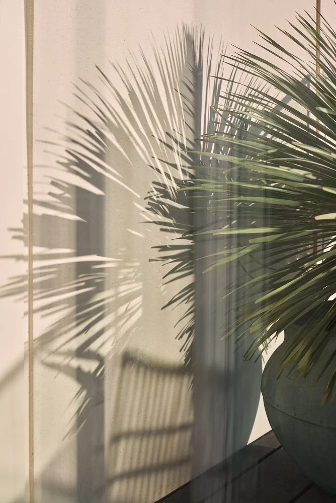 Blood sugar balancing 101