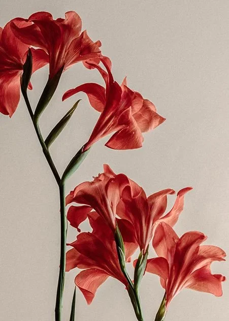 hitting your protein goal when clearing your skin