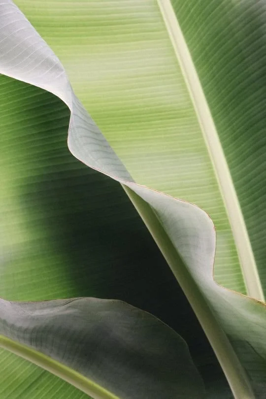 Is It Your Hormones? Testing for Acne Clarity