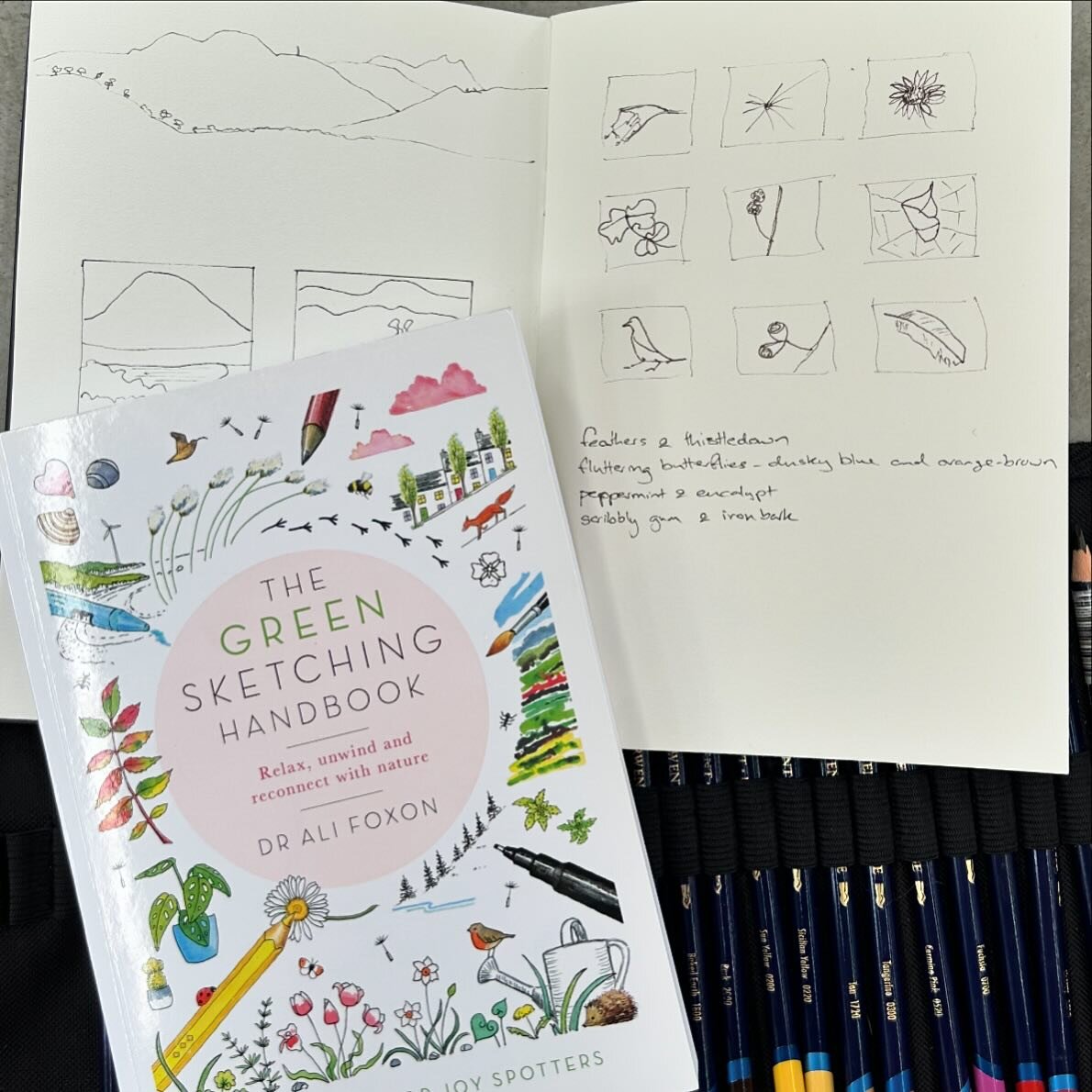 I highly recommend The Green Sketching Handbook by @ali_foxon, even if you don&rsquo;t think you can draw but want a way to experience more joy and calm and connect to nature. It really works. 
One of the principles is you don&rsquo;t need to show yo