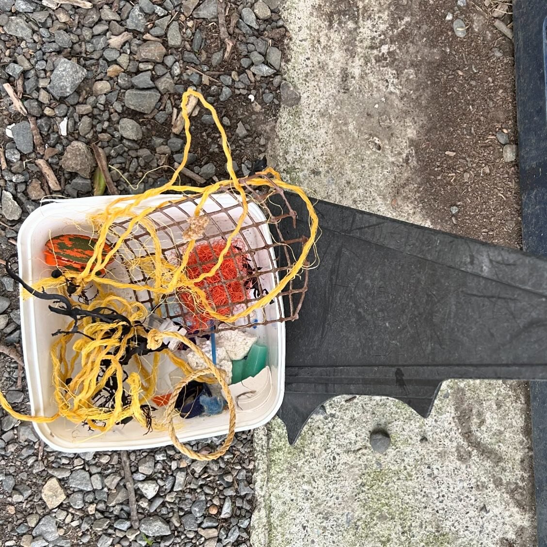 The beach walk that turns into a litter pick up. Once I found that empty ice cream container I couldn&rsquo;t resist, although I was out there only two days ago doing a litter survey for sustainable coastlines. #sustainablecoastlinesnz #ourseasourfut