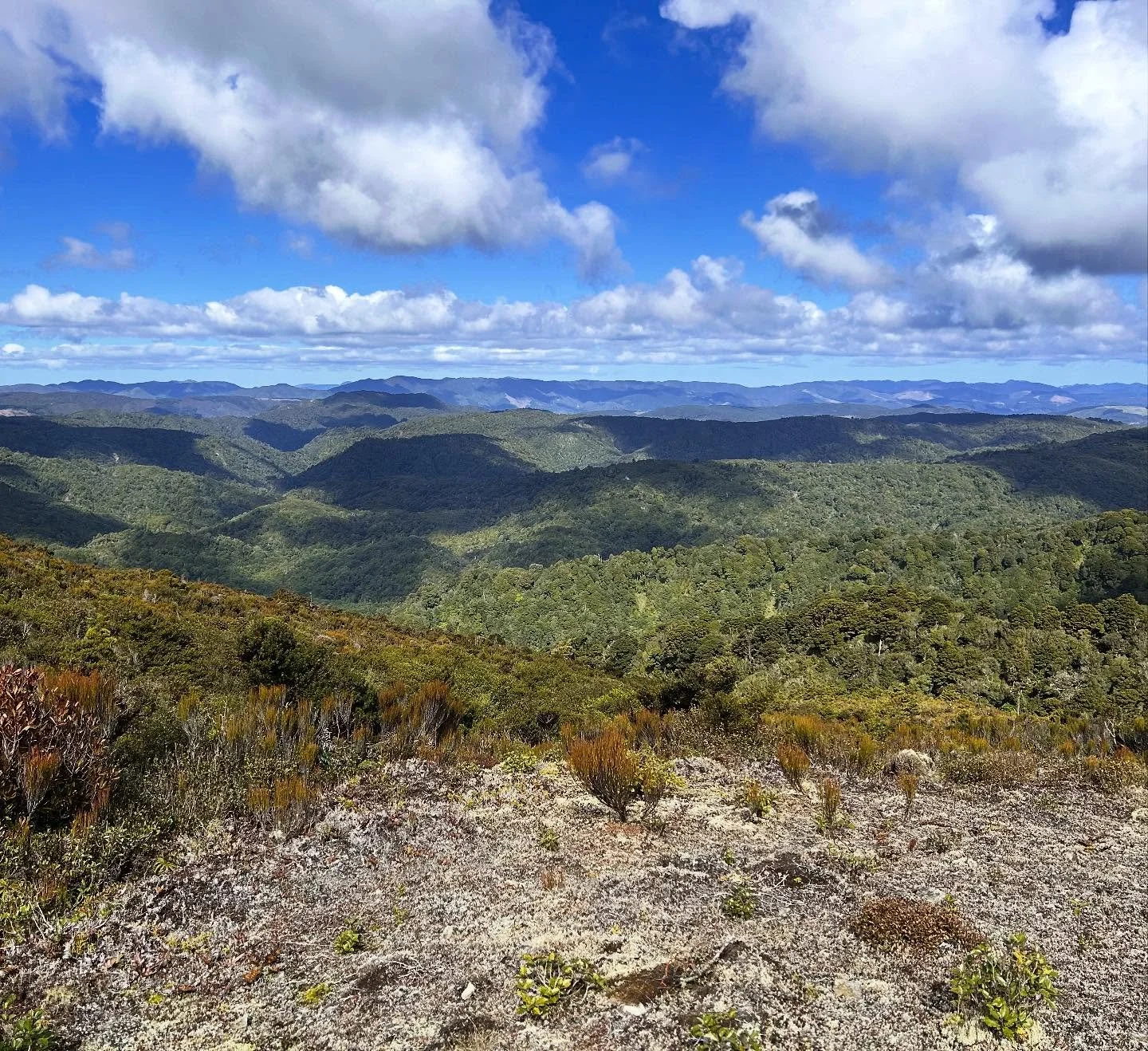 Cloud shadows 
forested hills 
to the horizon